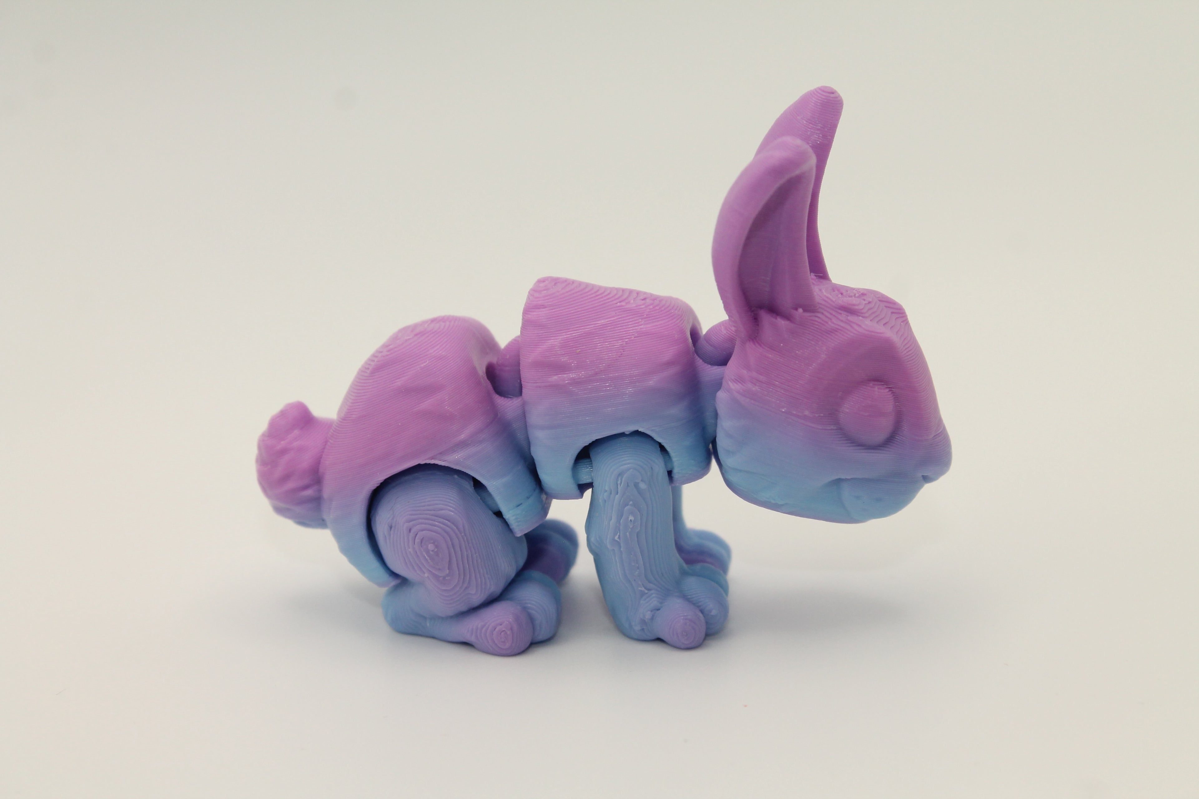 Flexi Bunny