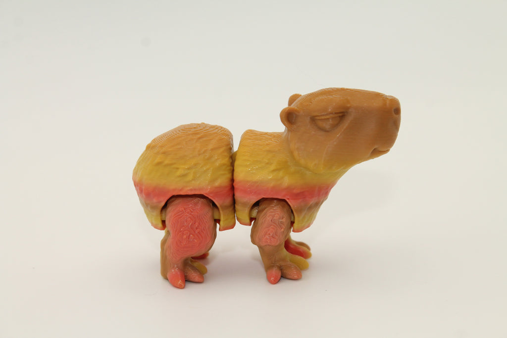 Flexi Capybara