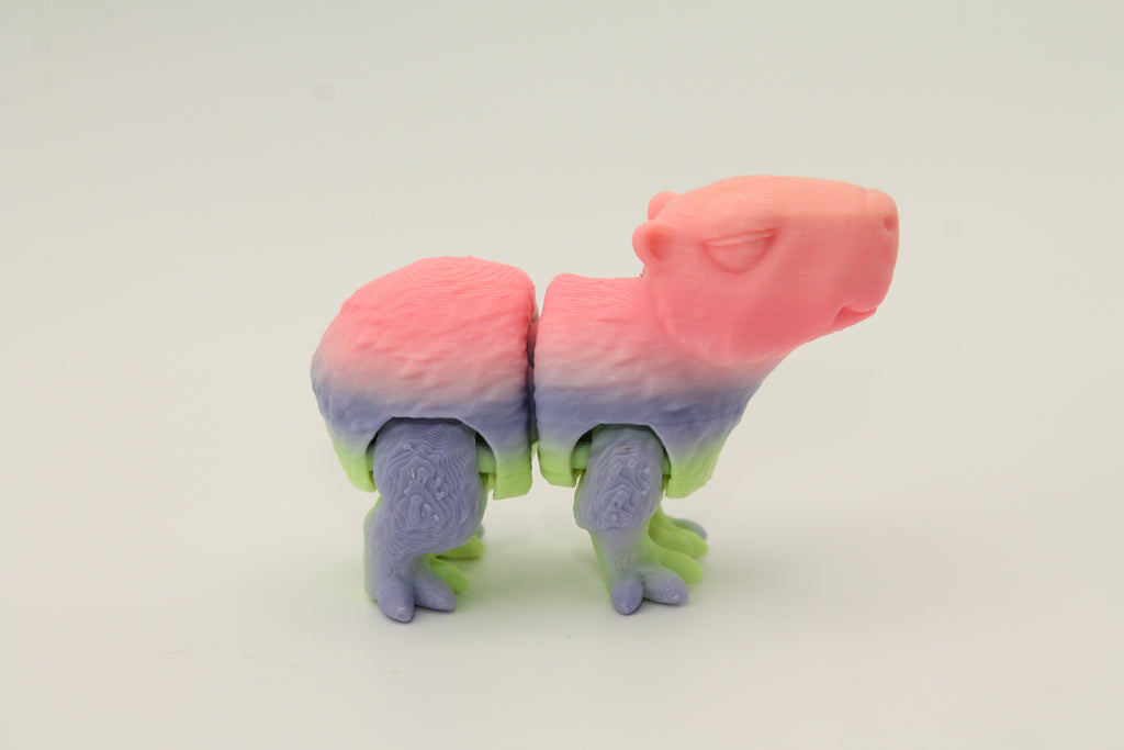 Flexi Capybara