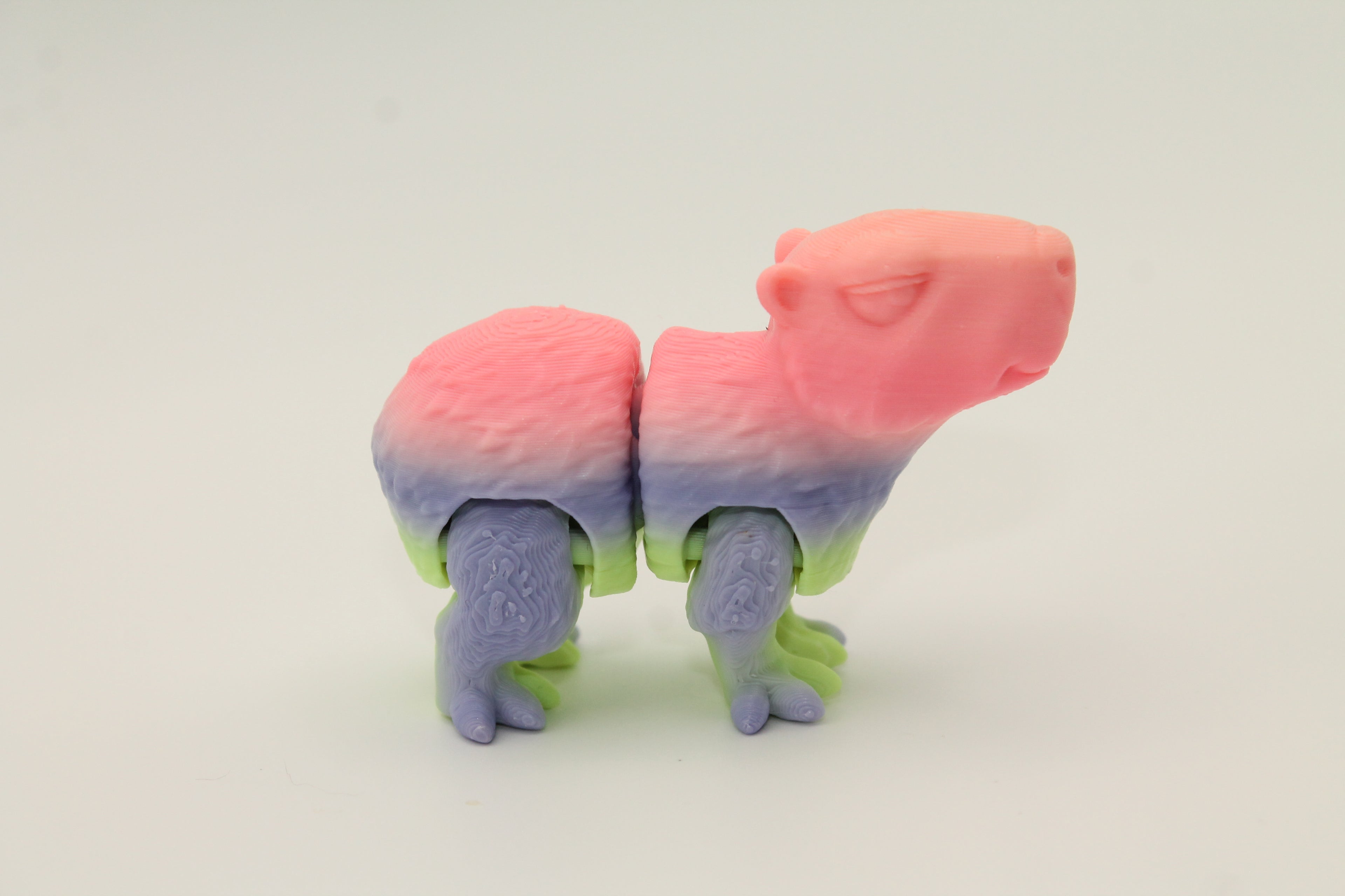 Flexi Capybara