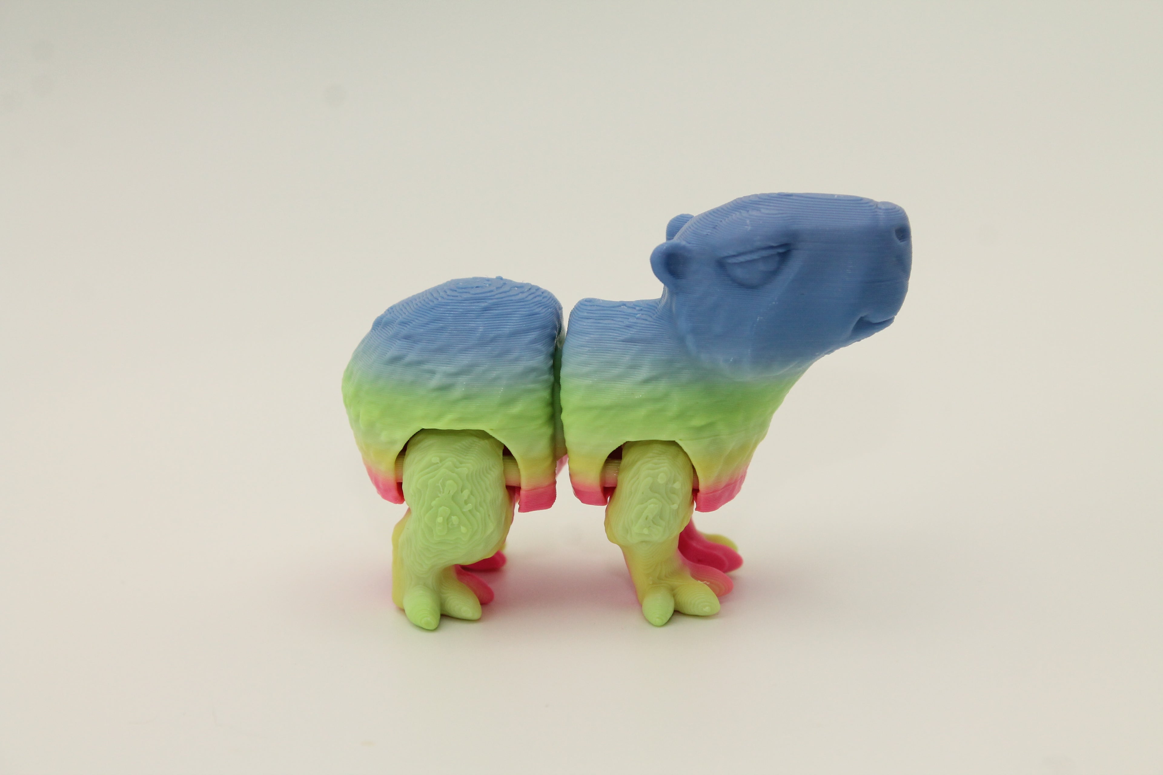 Flexi Capybara