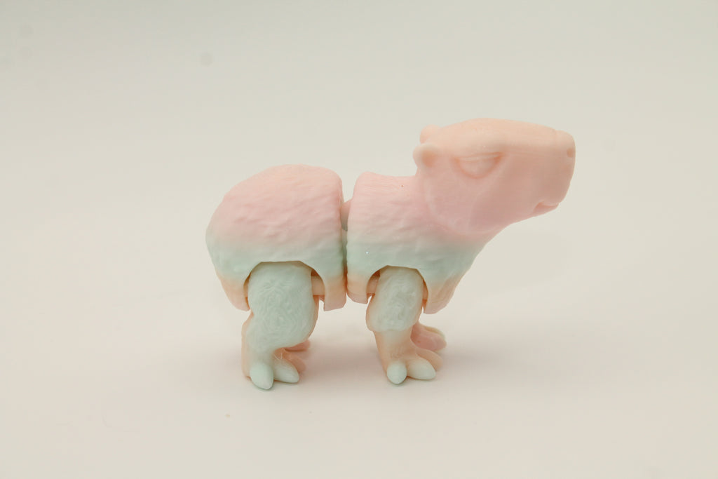 Flexi Capybara