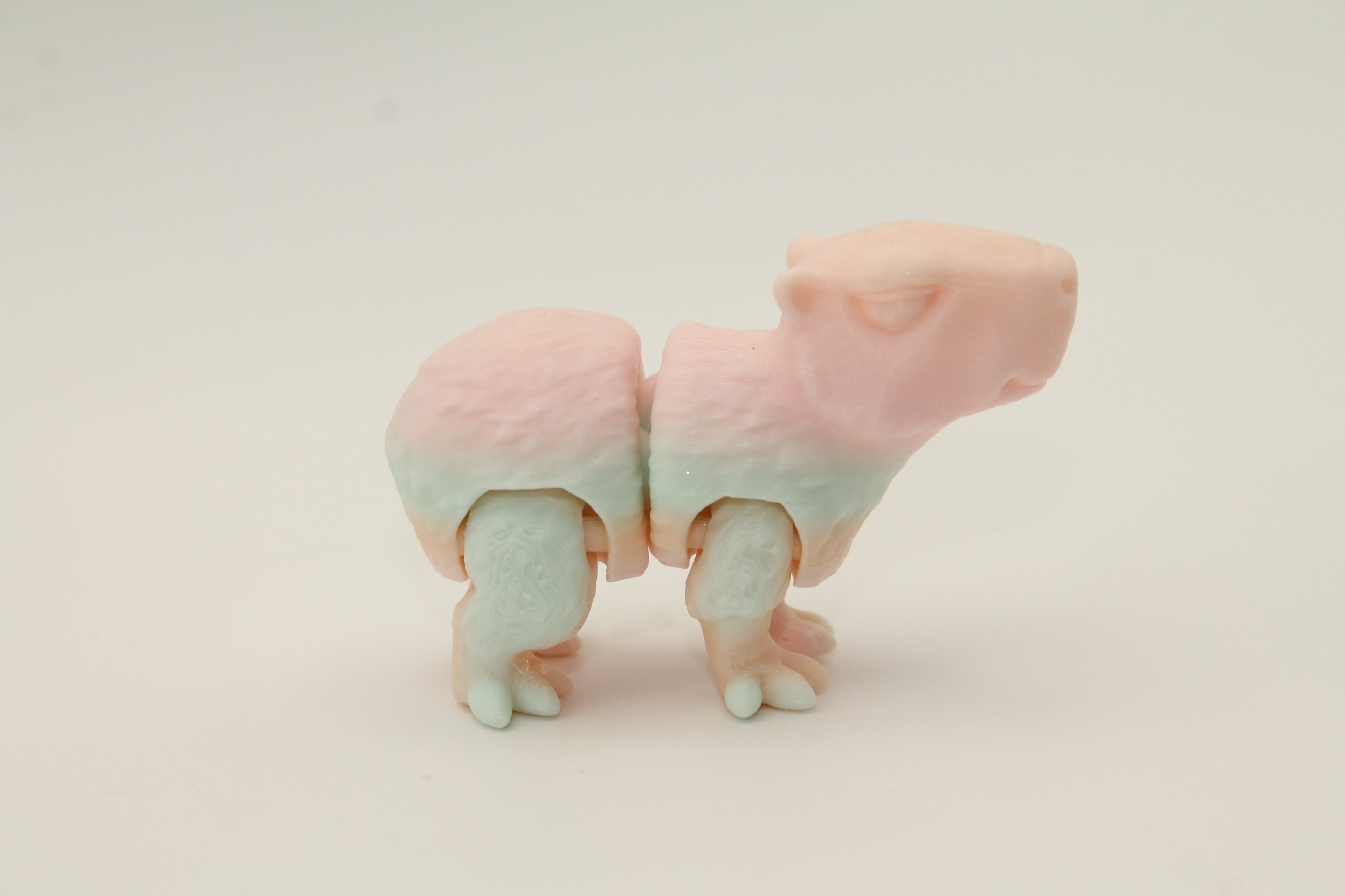 Flexi Capybara