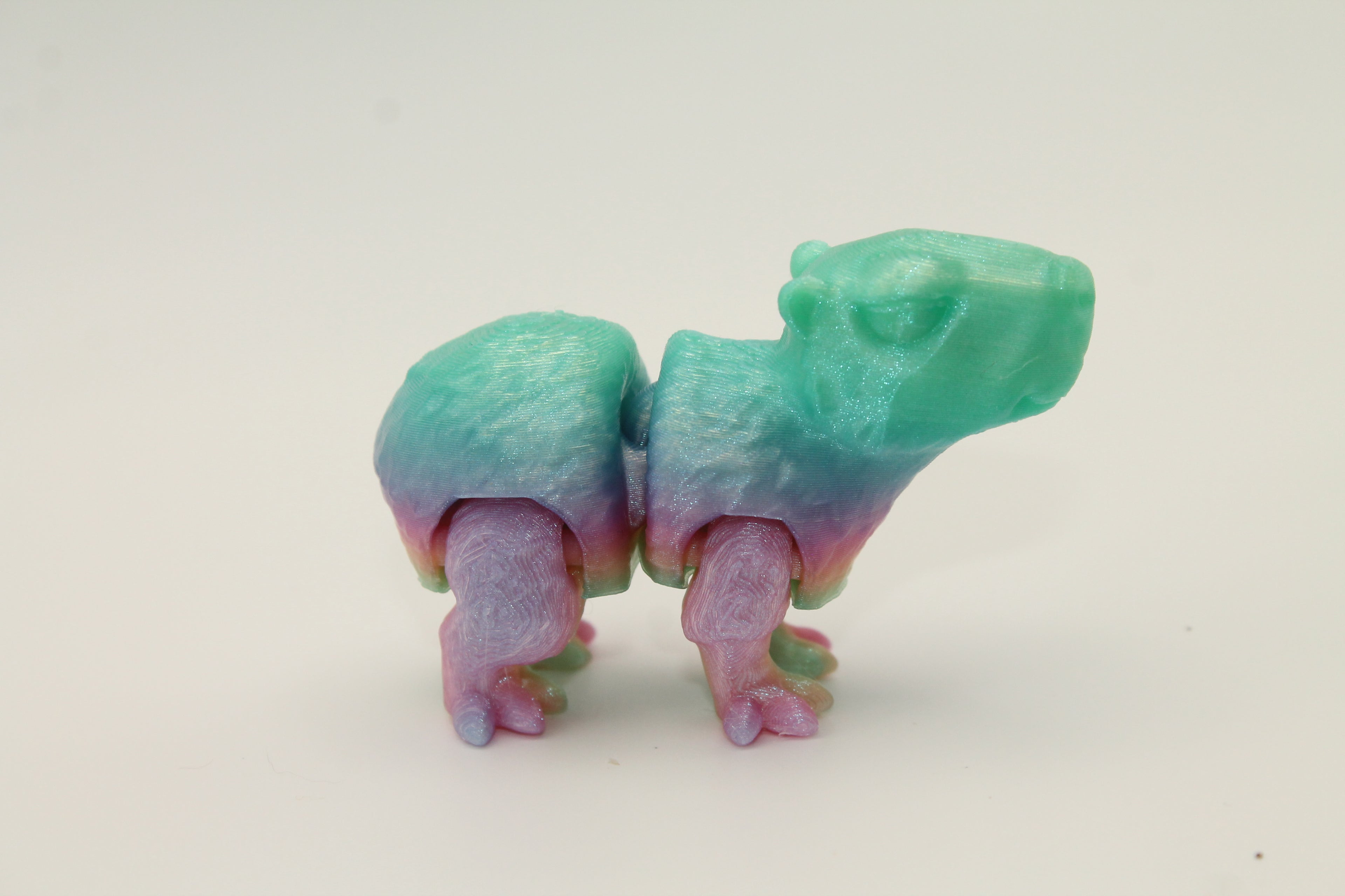 Flexi Capybara
