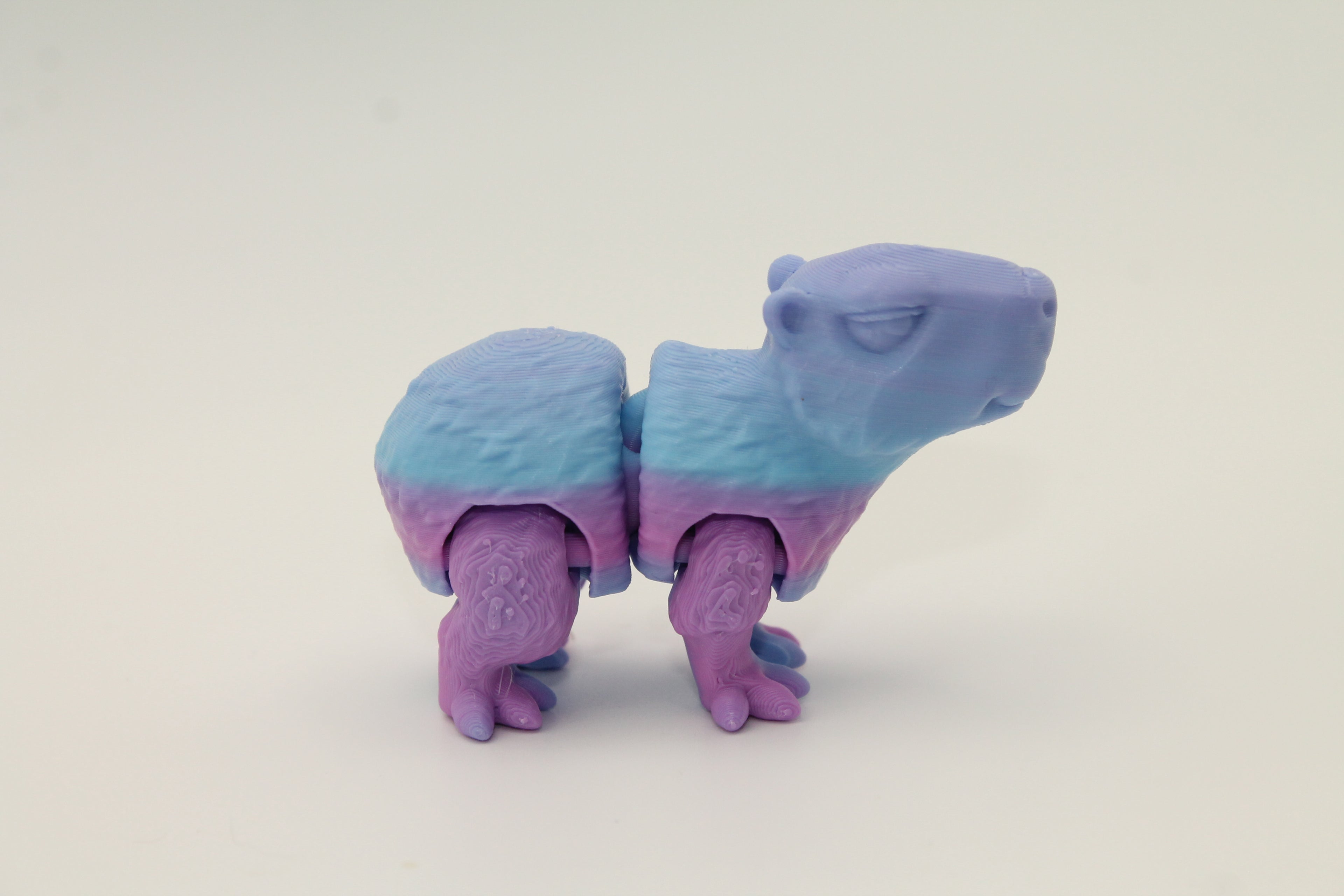 Flexi Capybara