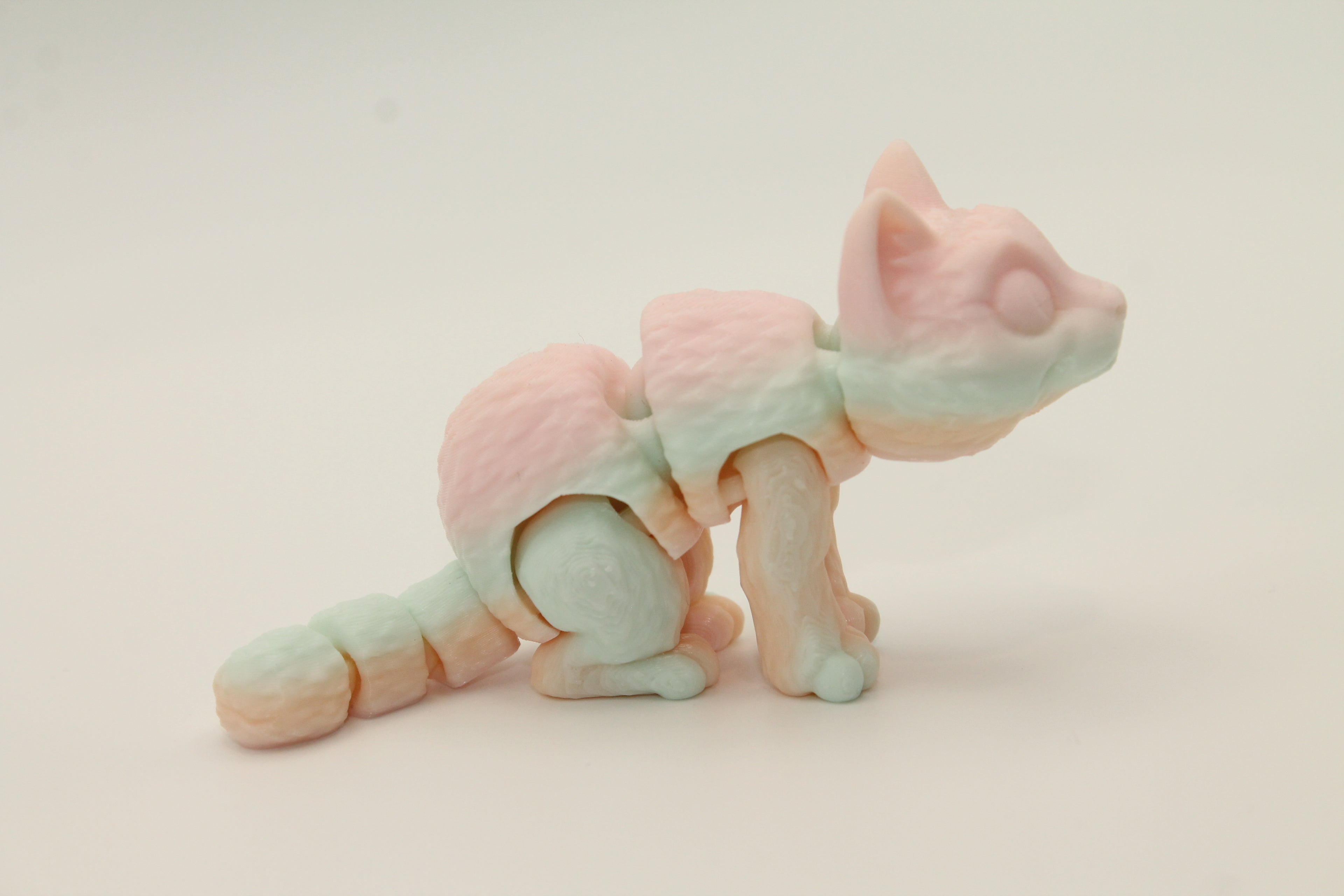 Flexi Cat