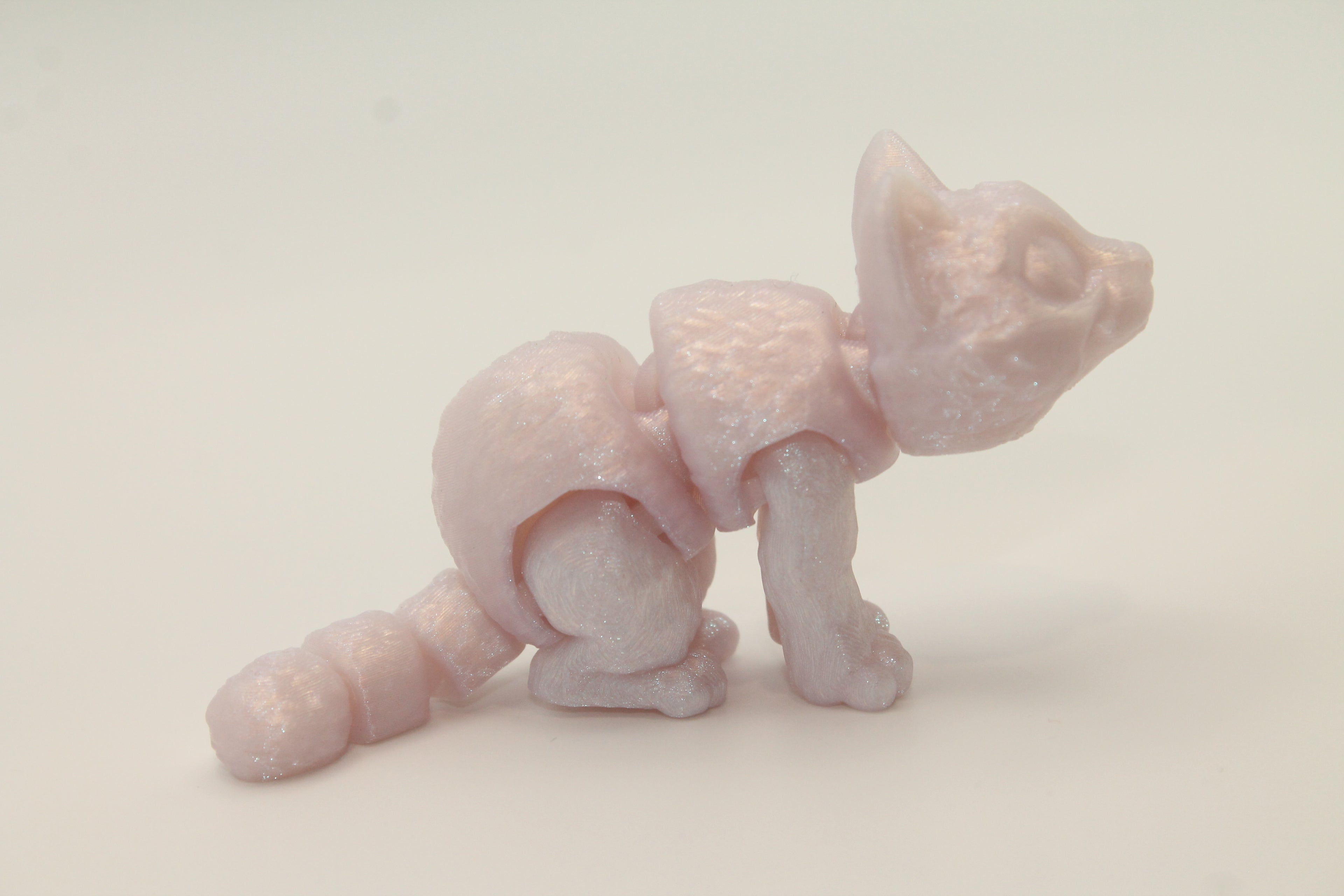 Flexi Cat