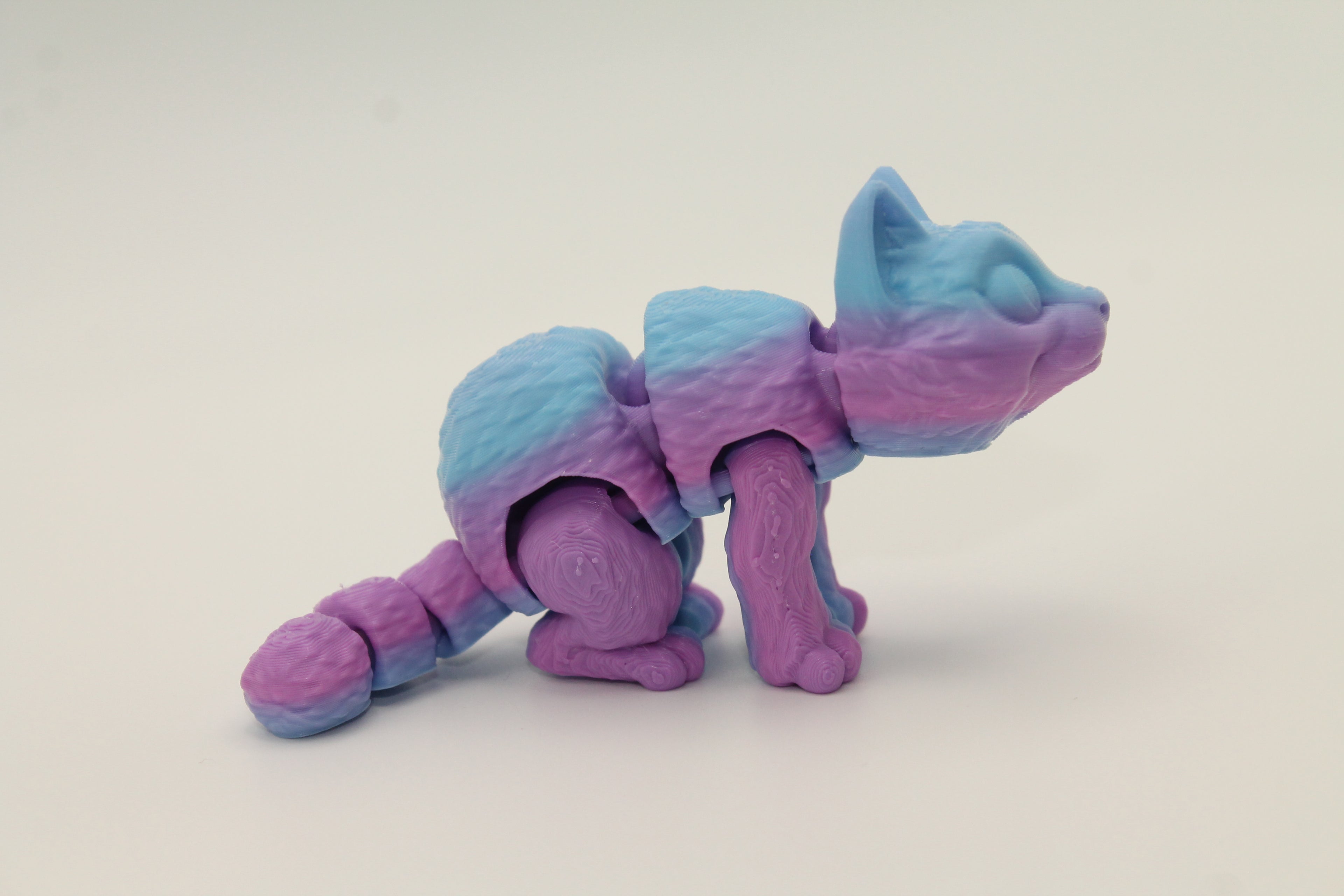 Flexi Cat