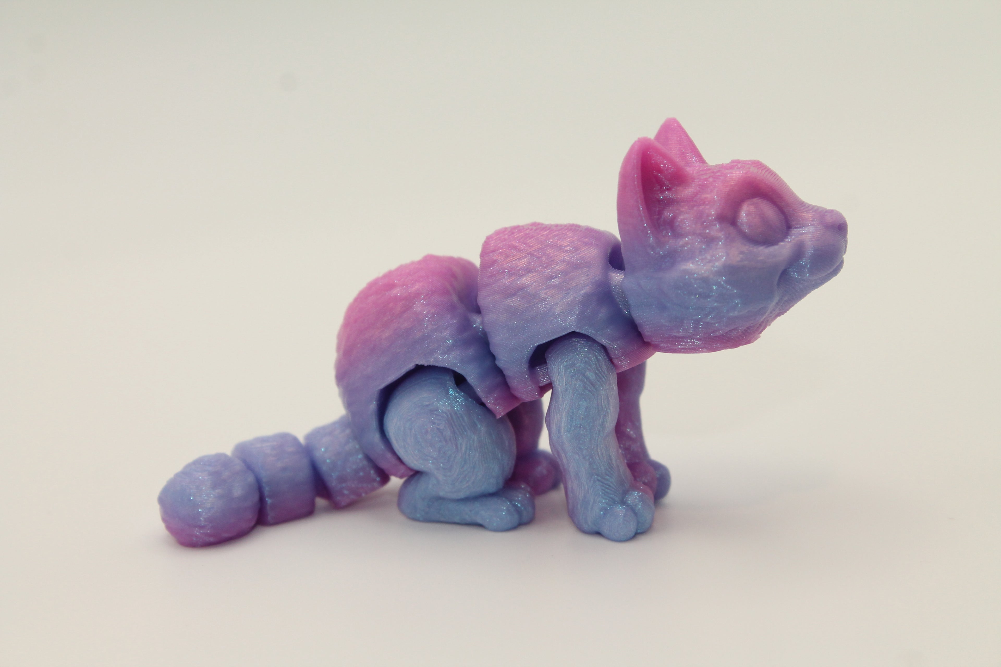 Flexi Cat
