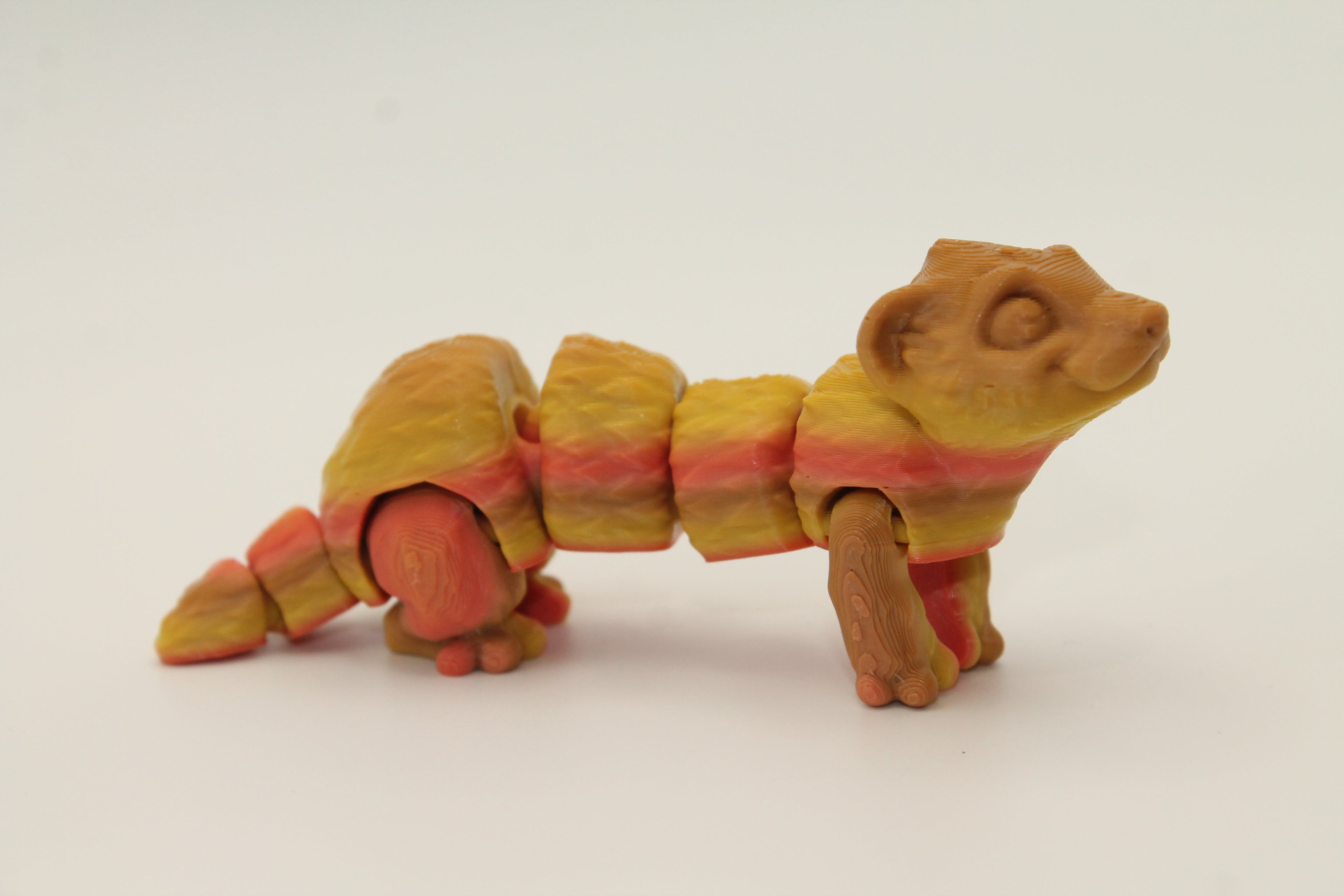 Flexi Ferret