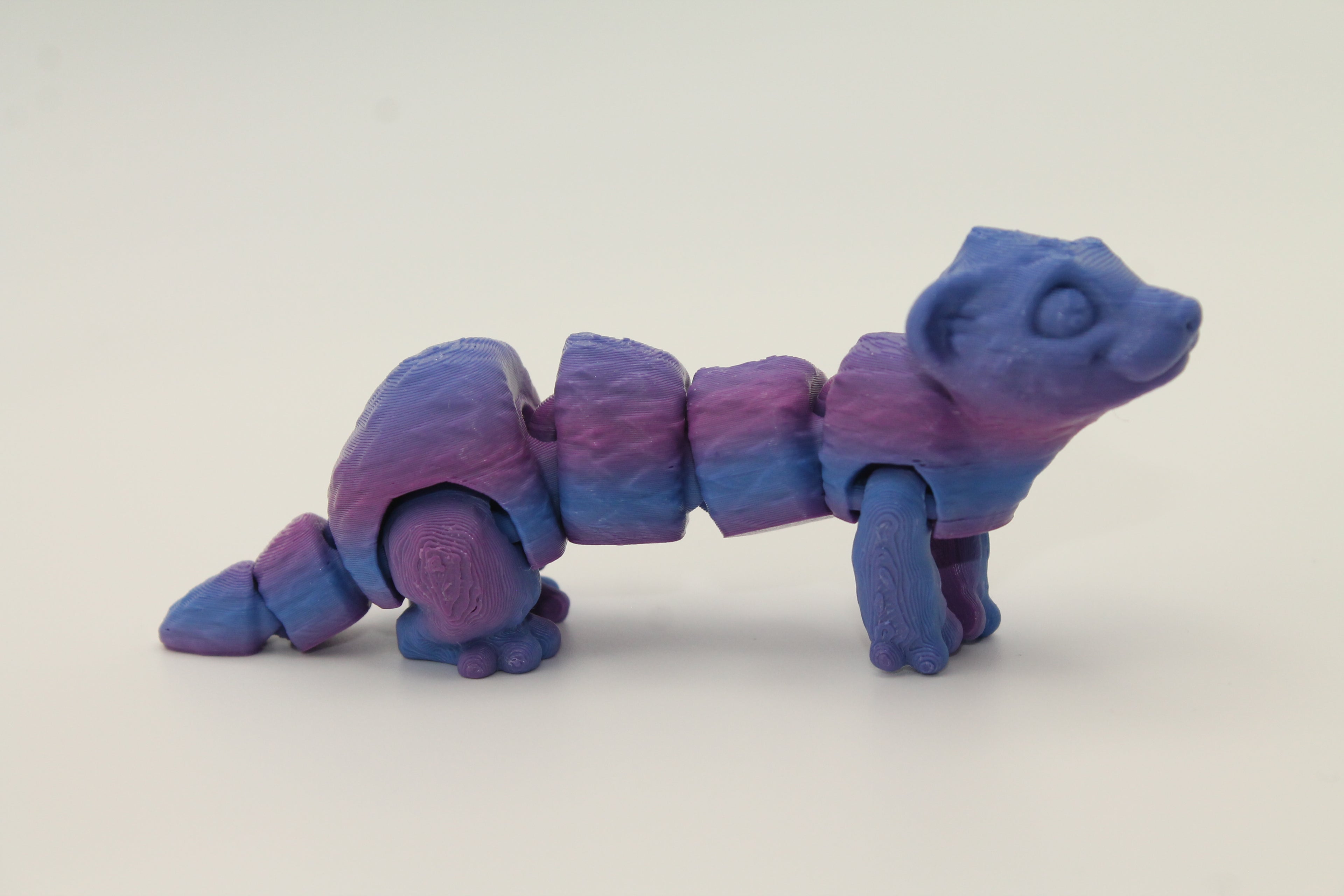 Flexi Ferret