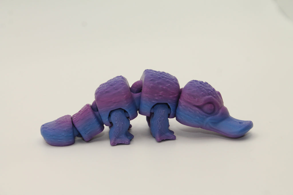 Flexi Platypus