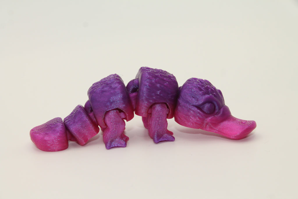 Flexi Platypus