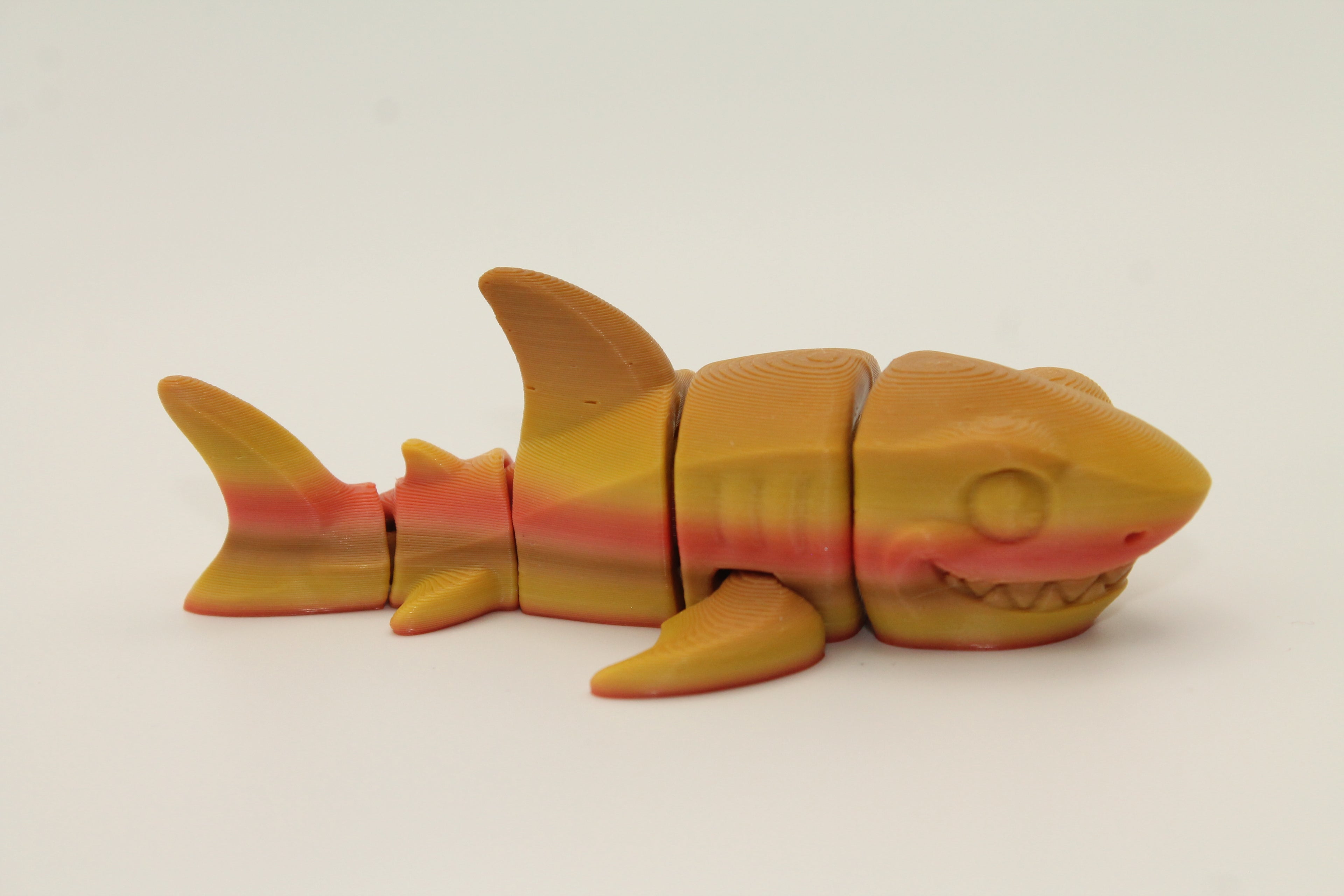 Flexi Shark