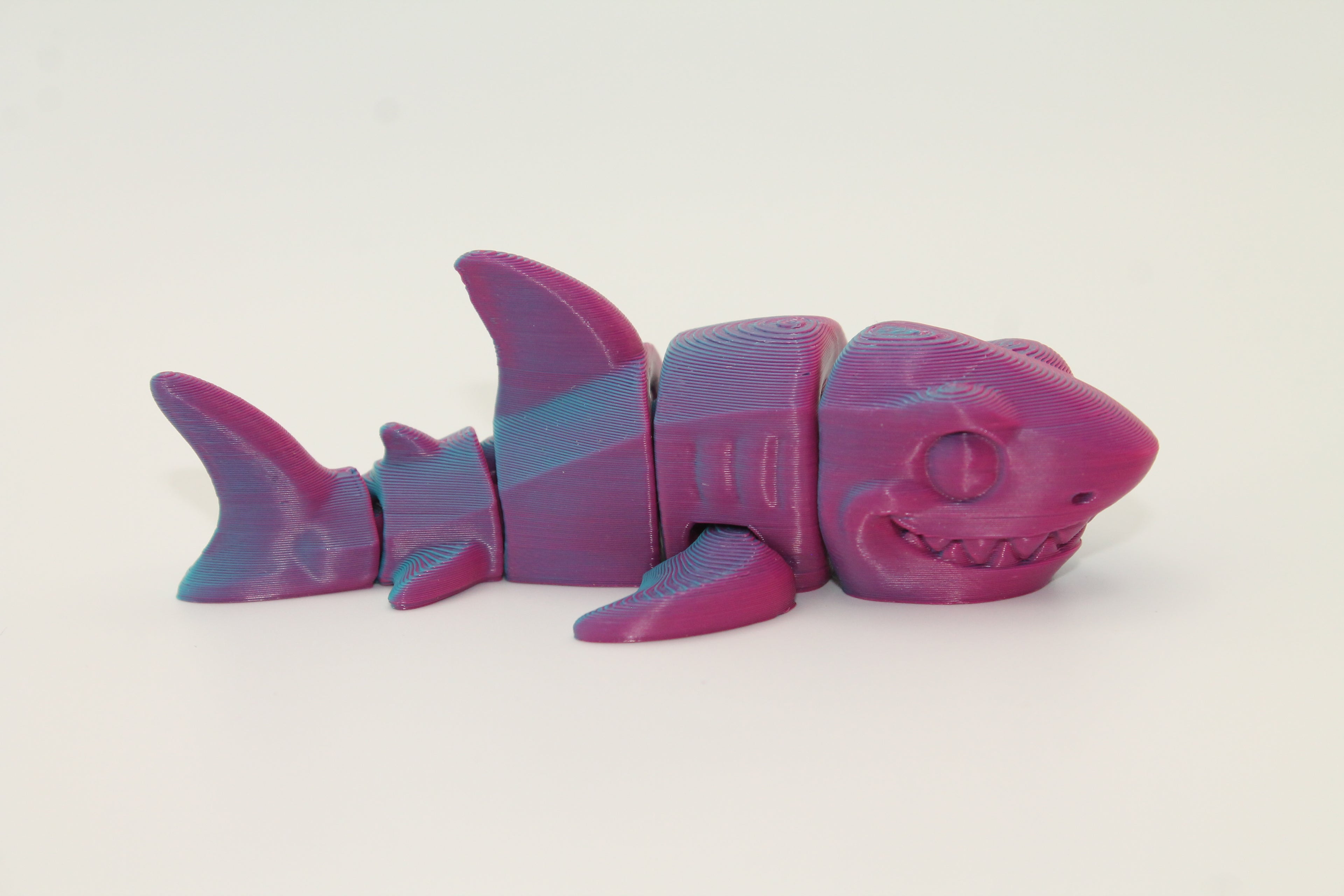 Flexi Shark