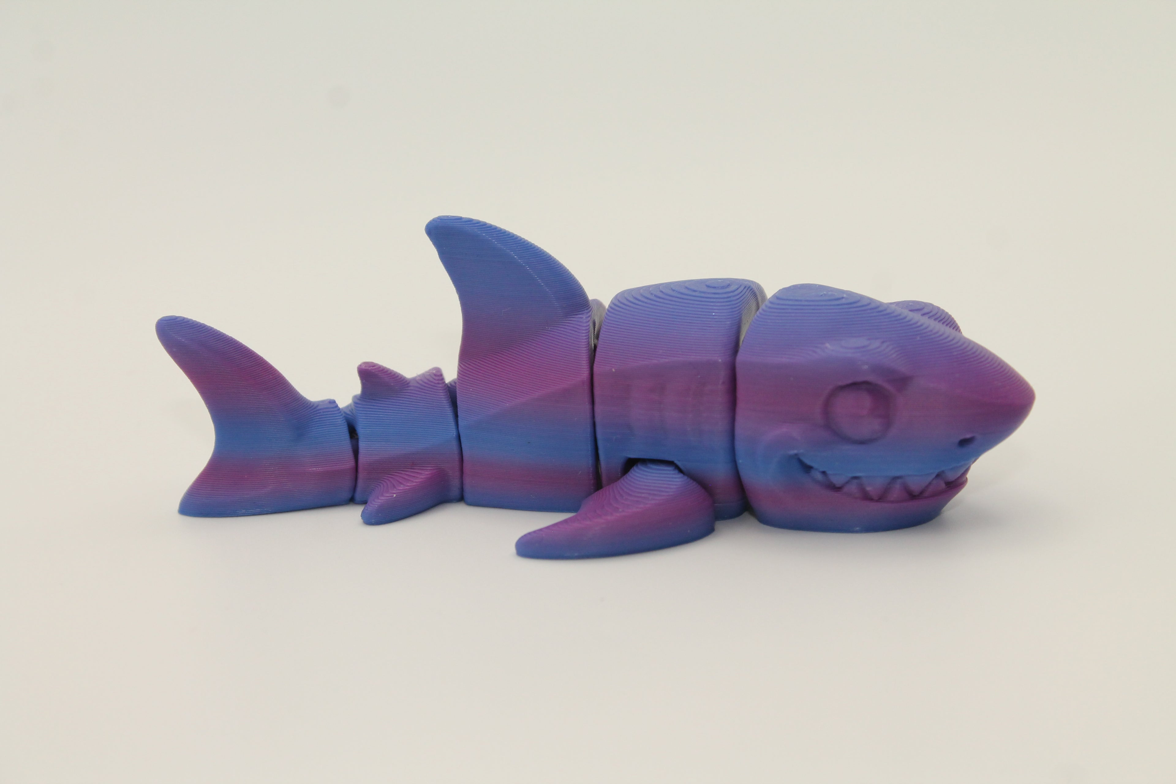 Flexi Shark