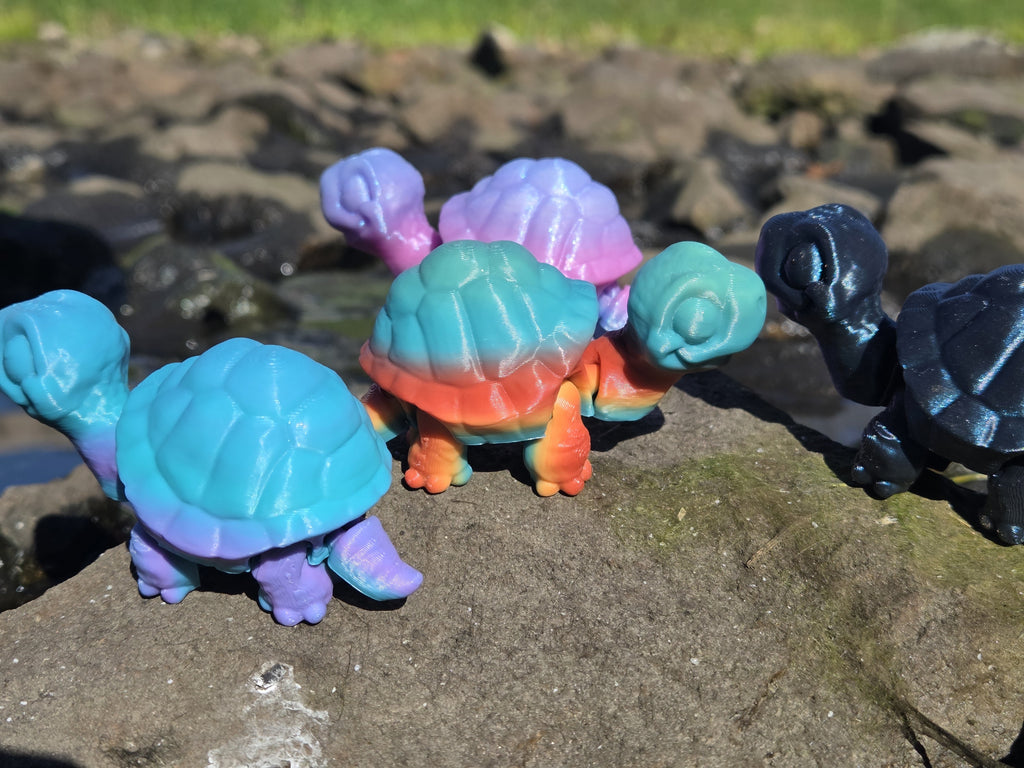 Flexi Tortoise
