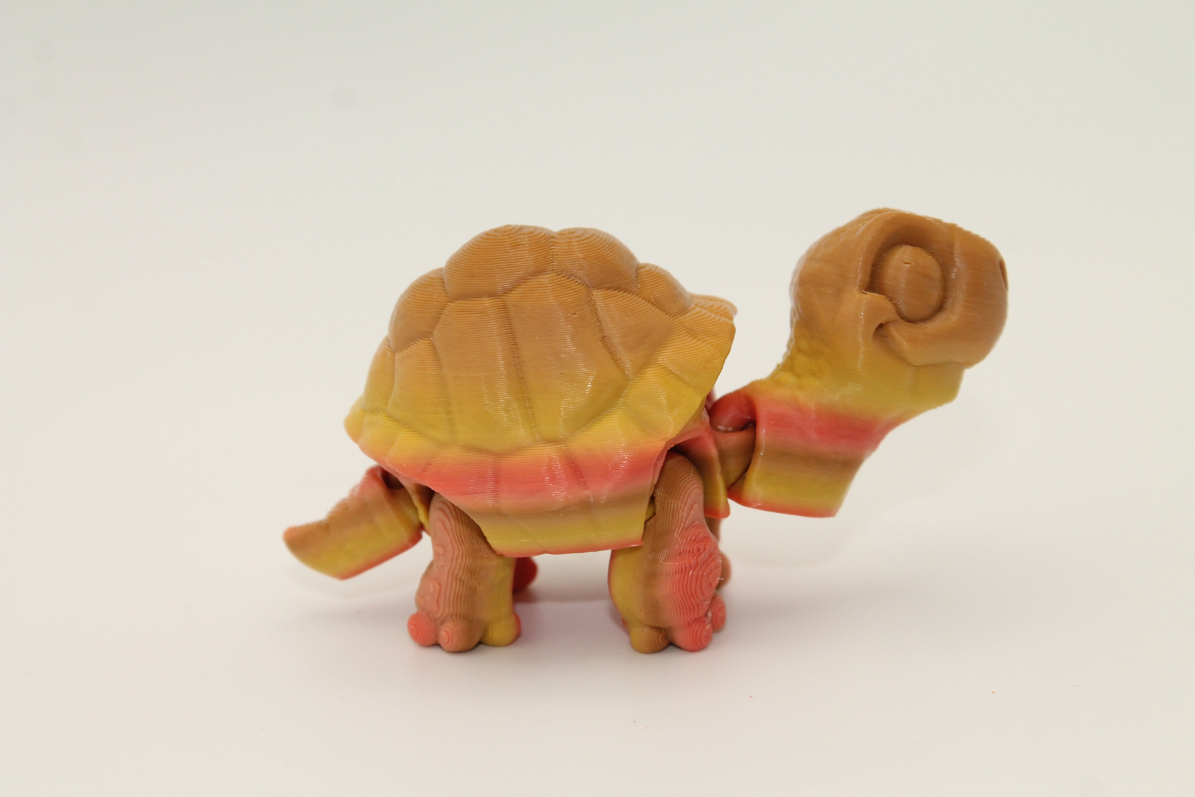 Flexi Tortoise