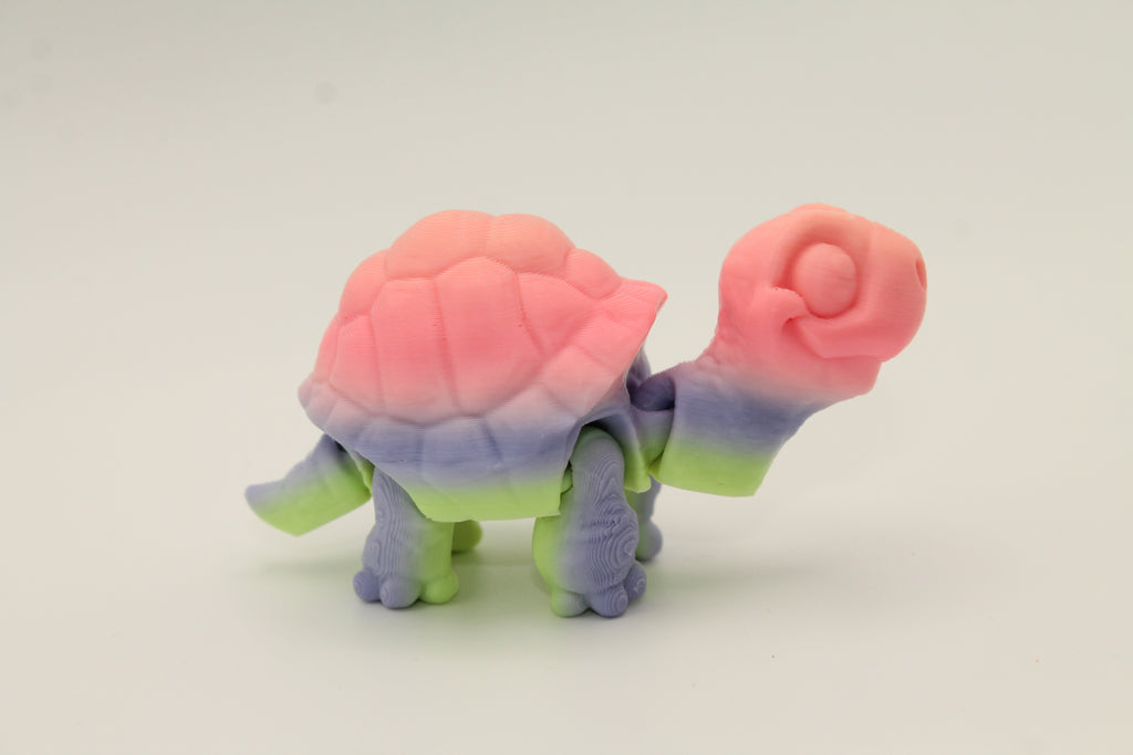 Flexi Tortoise