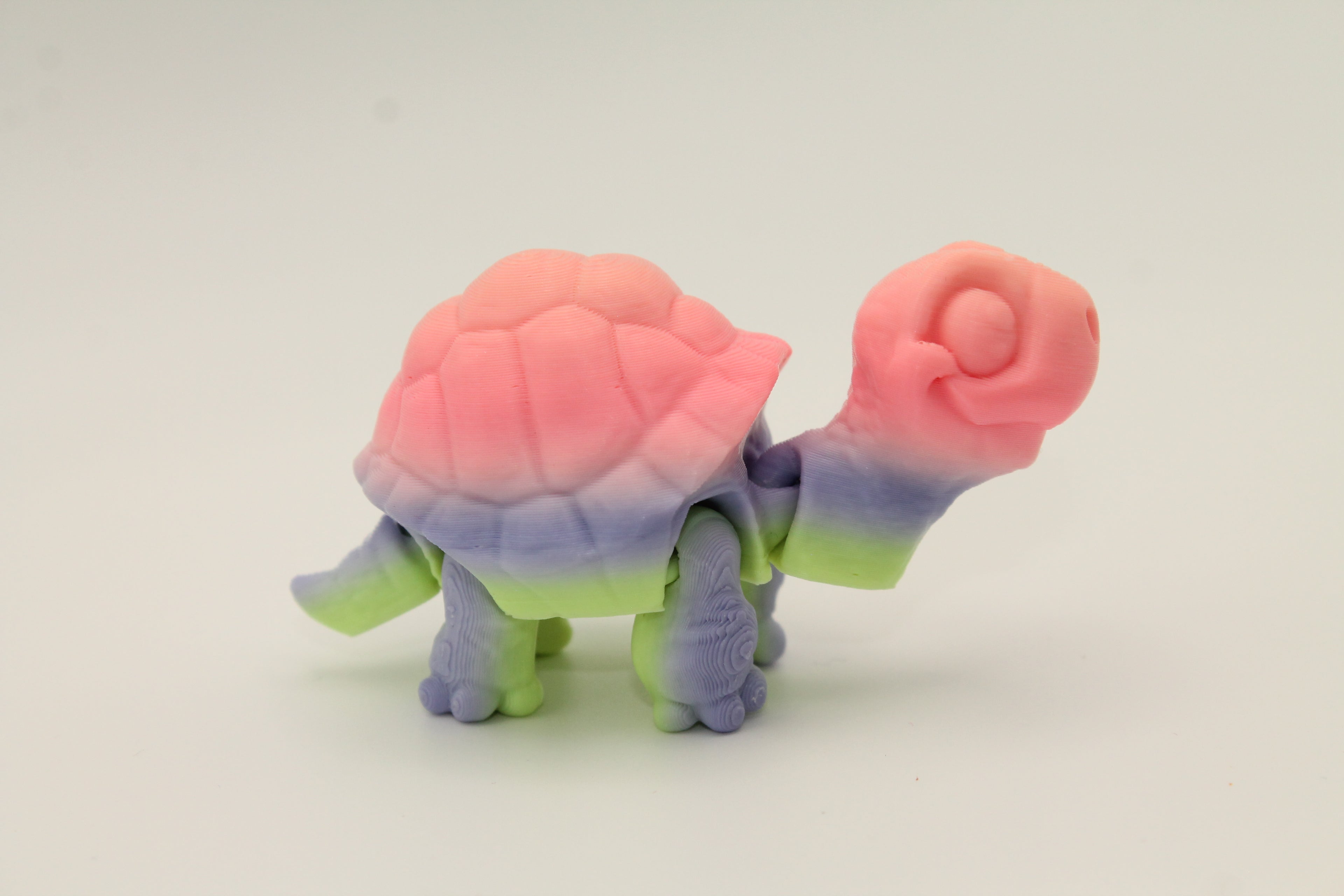 Flexi Tortoise