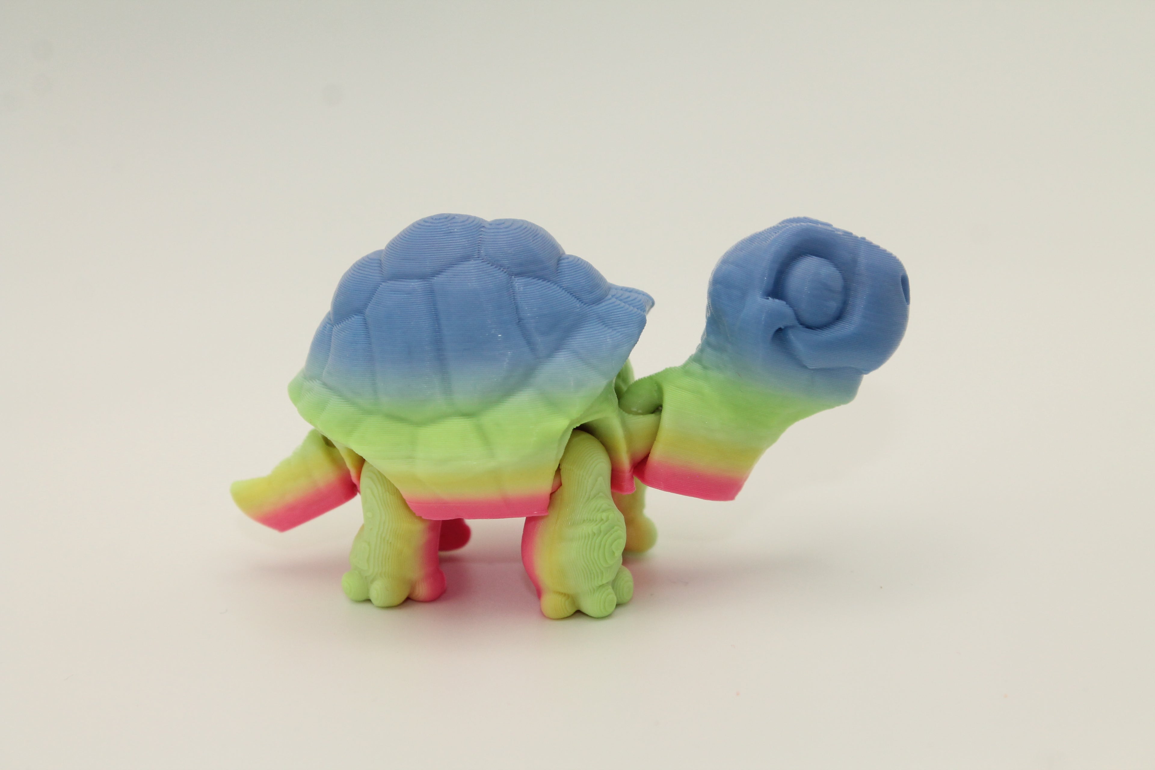 Flexi Tortoise