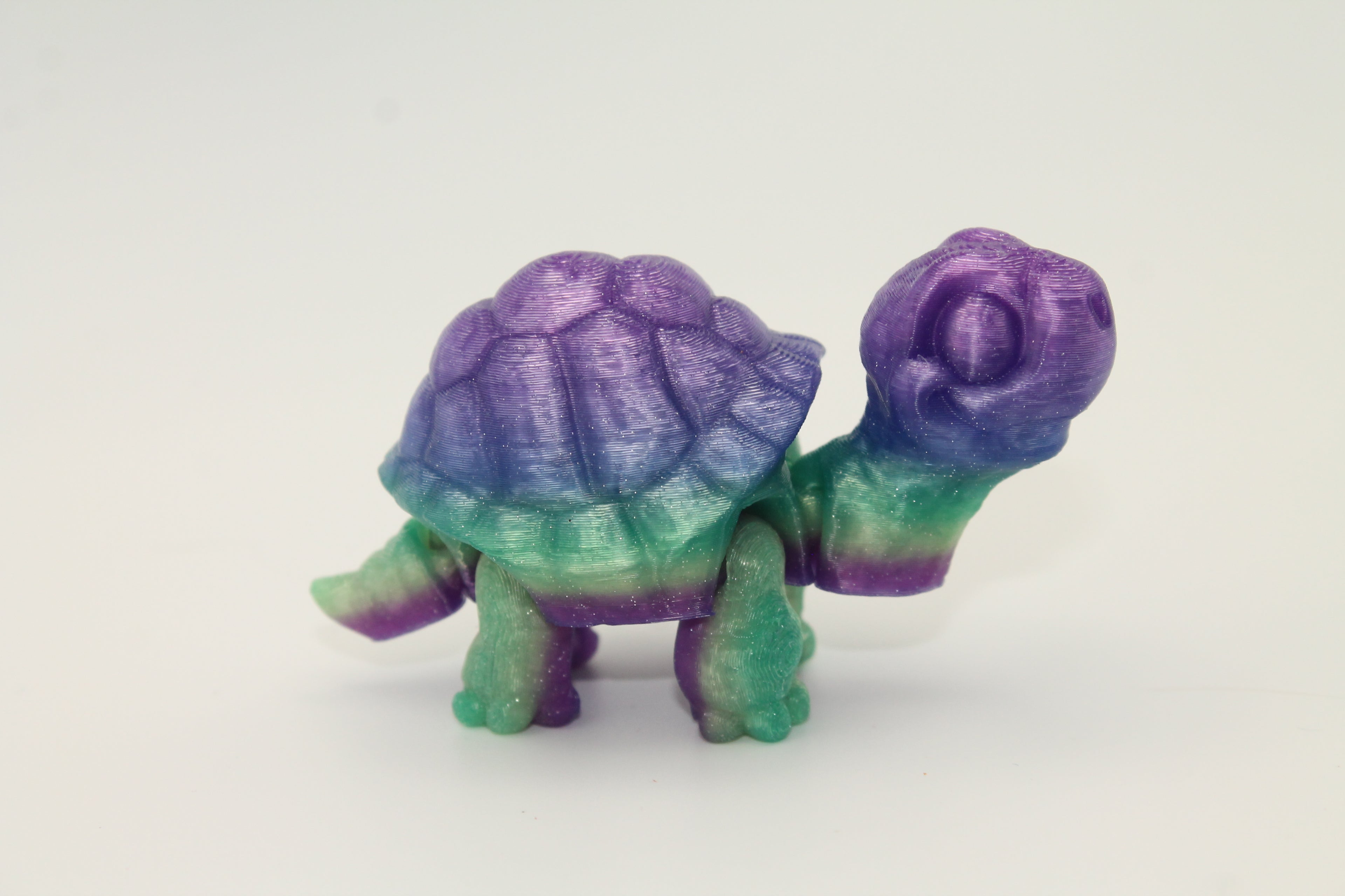 Flexi Tortoise