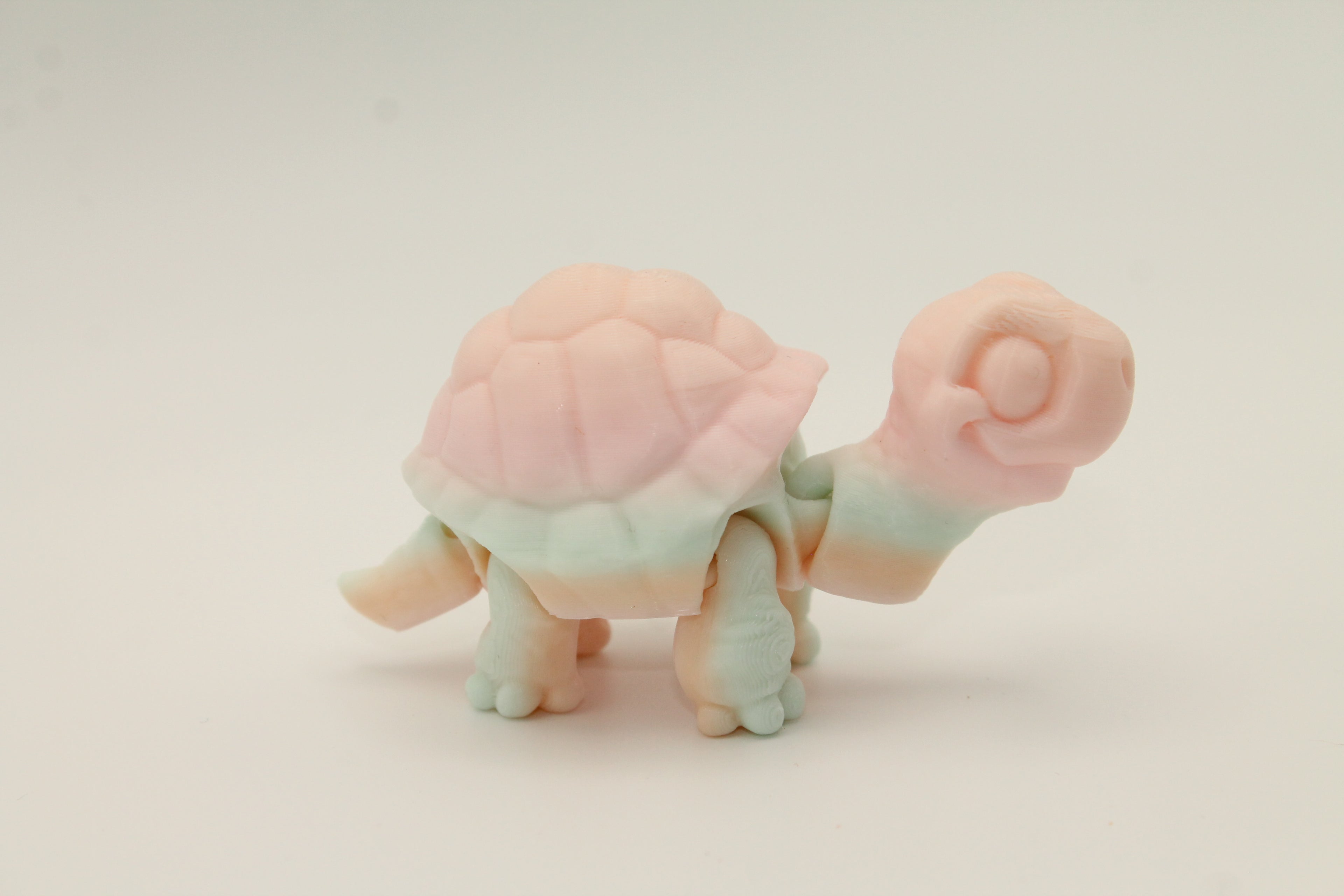 Flexi Tortoise