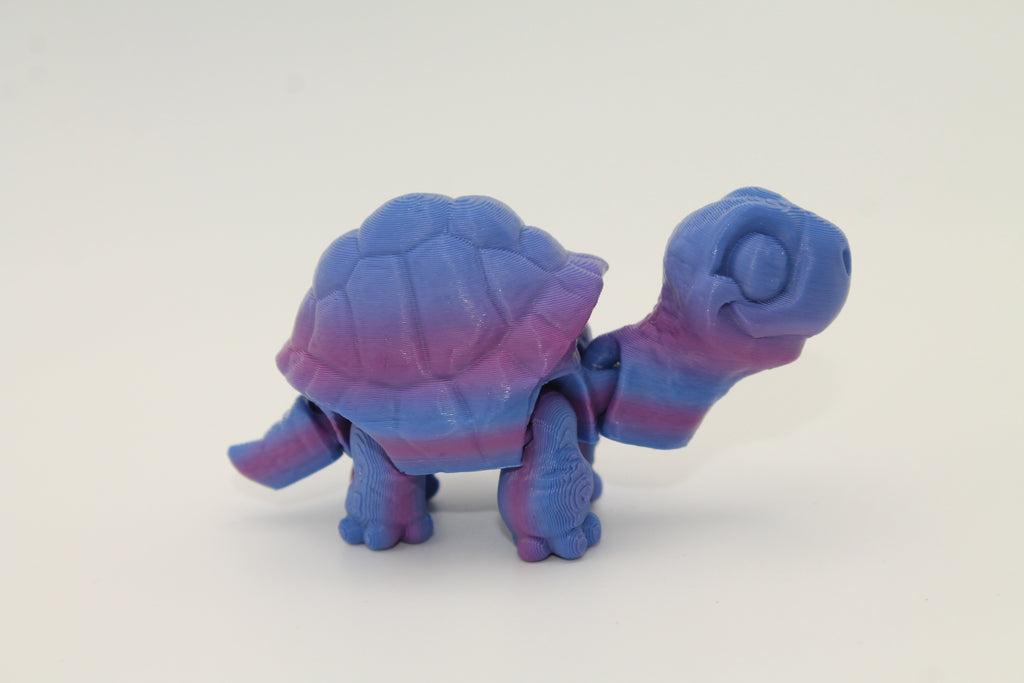 Flexi Tortoise
