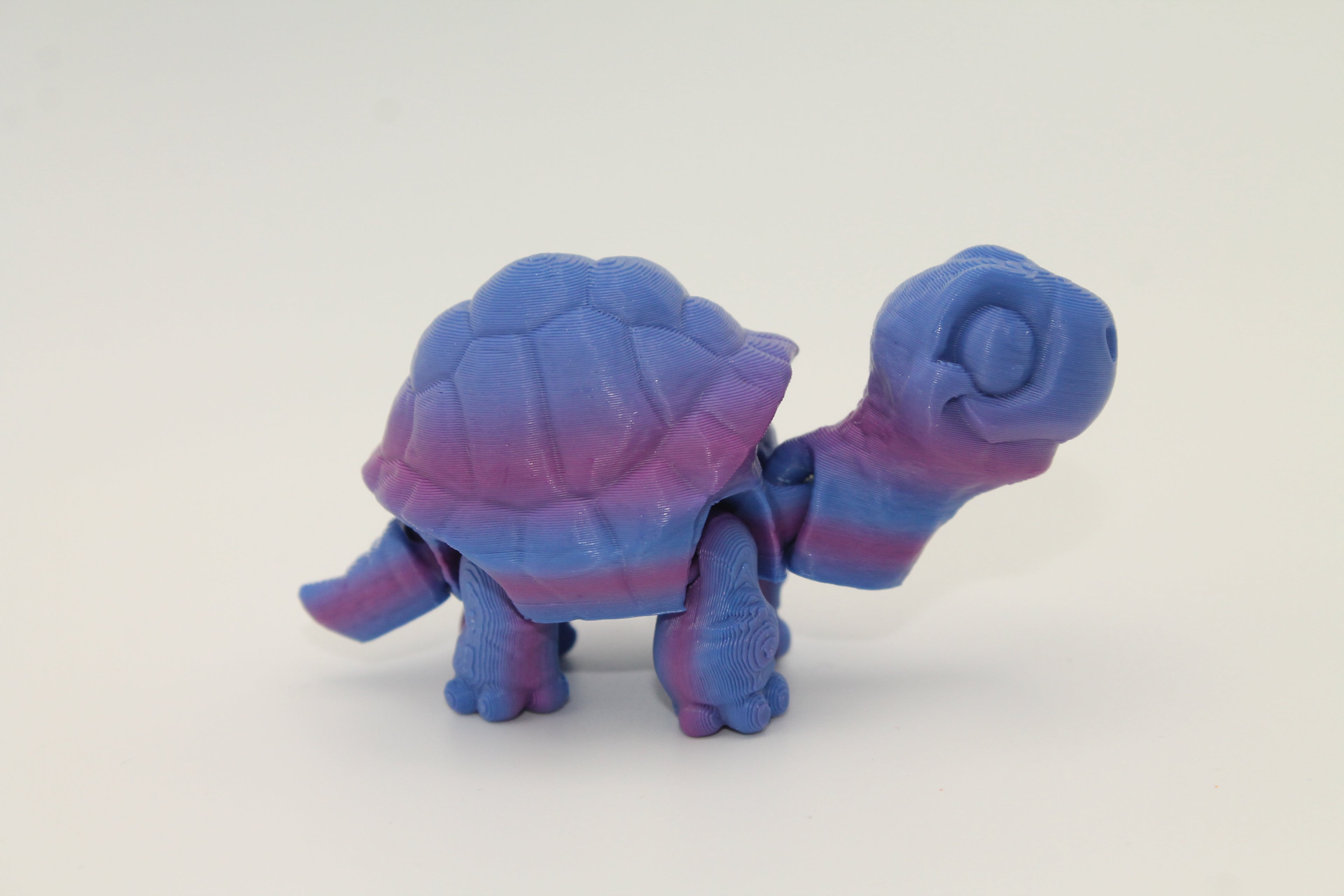 Flexi Tortoise