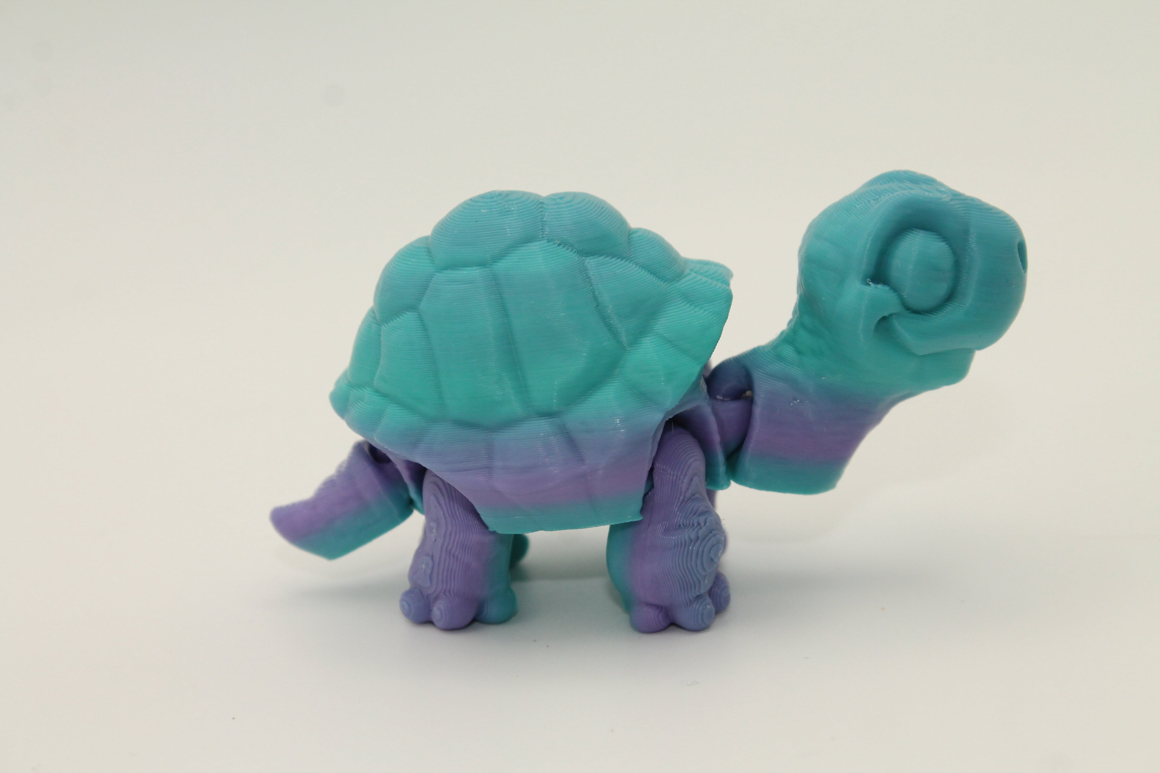 Flexi Tortoise