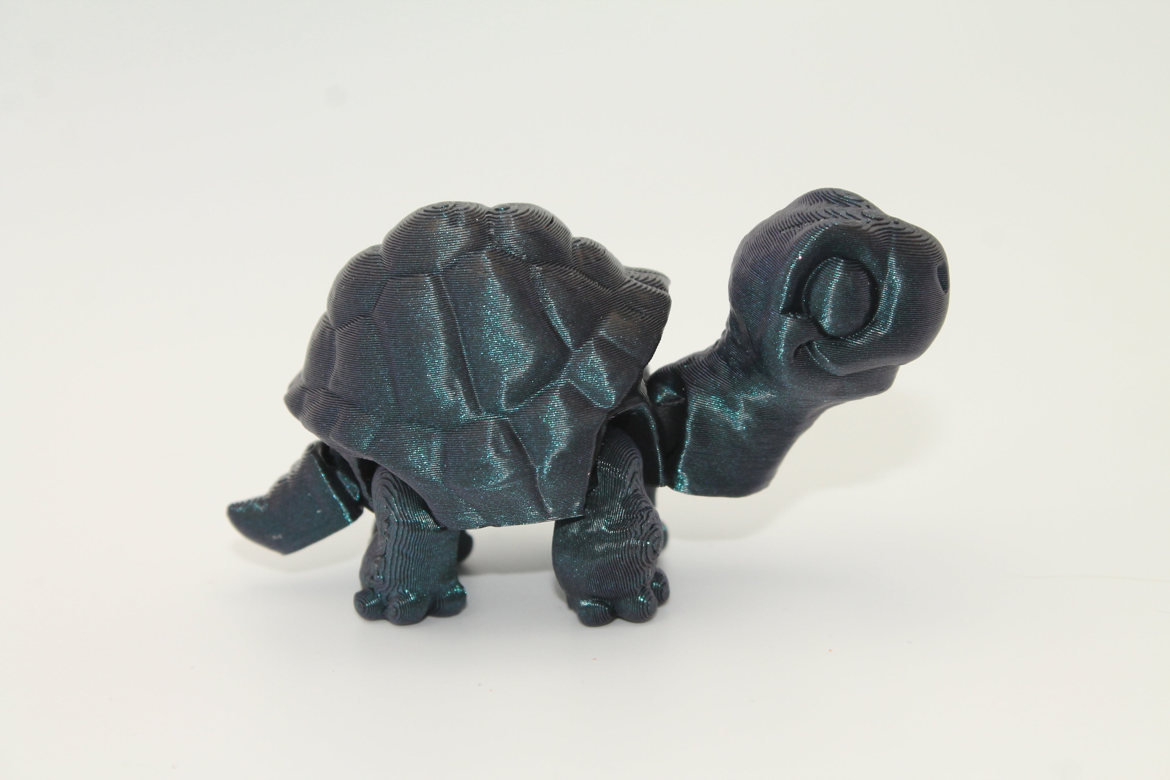 Flexi Tortoise