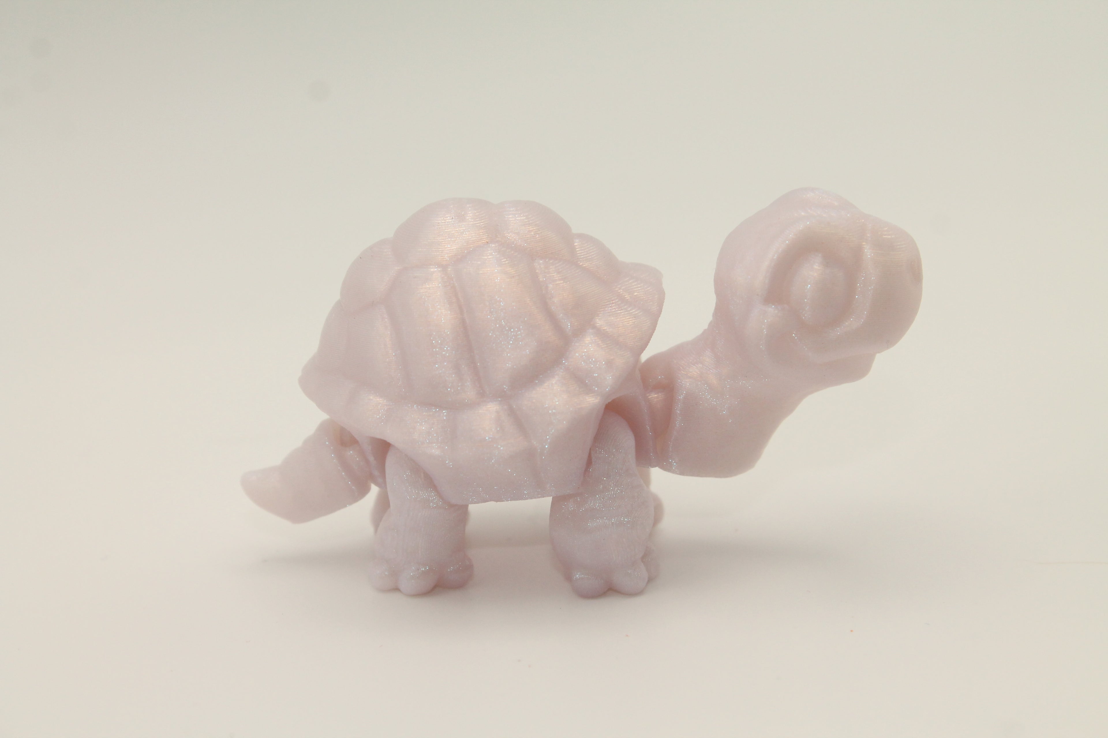 Flexi Tortoise