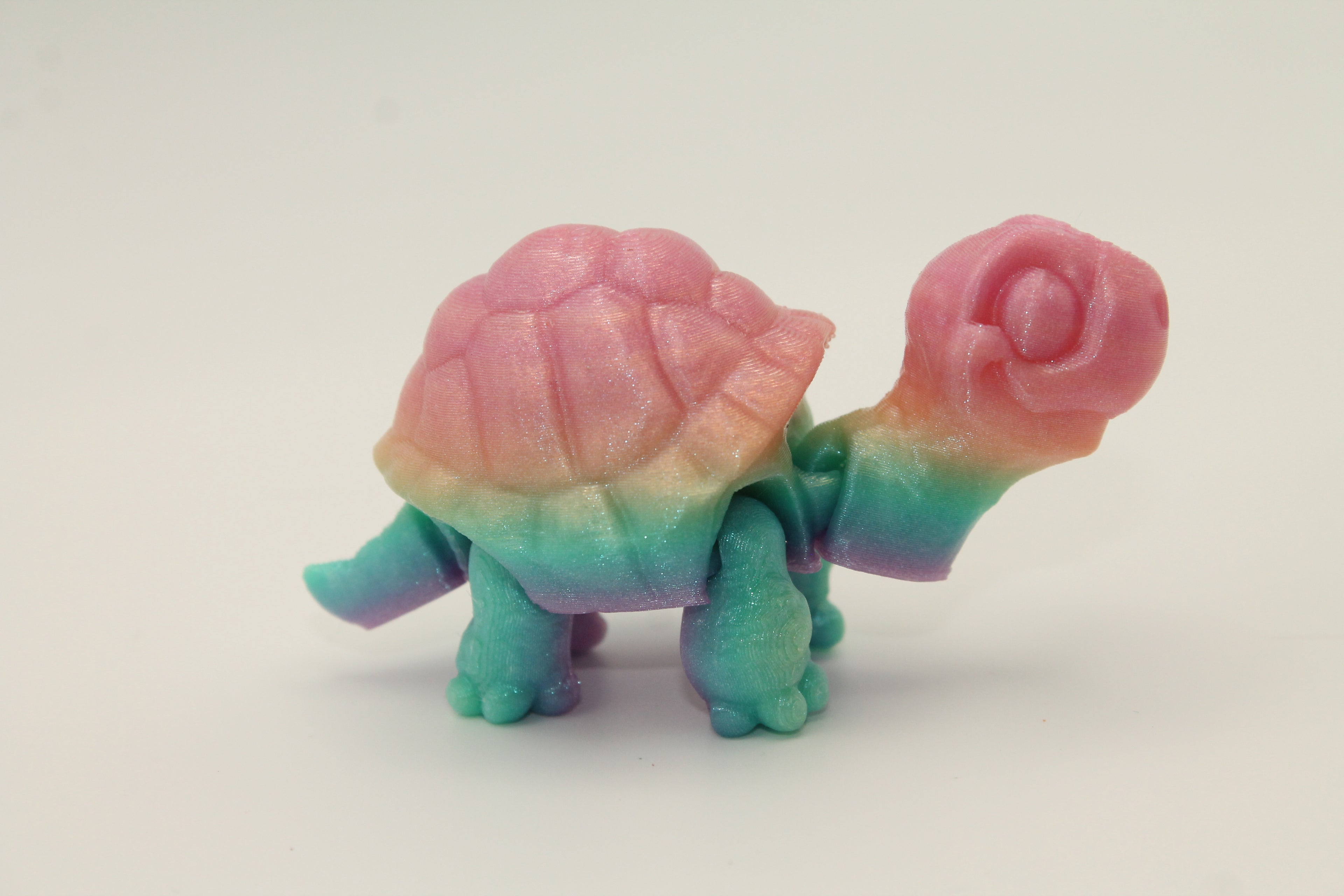 Flexi Tortoise