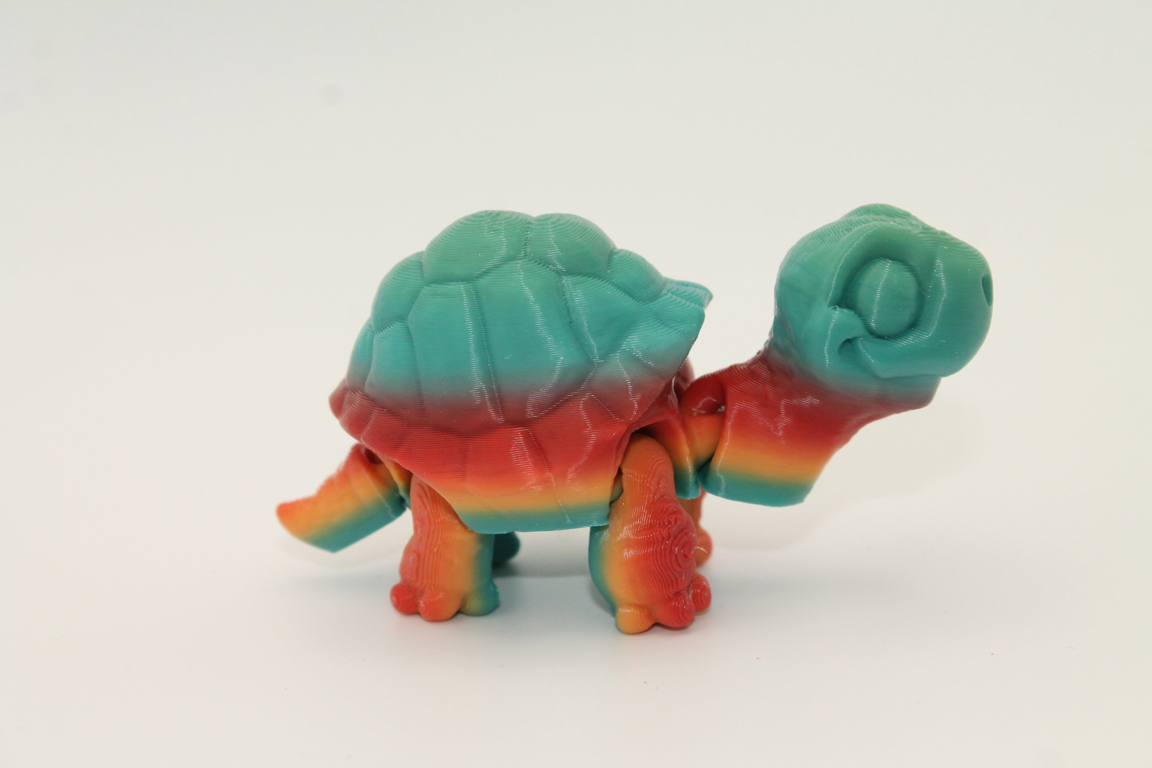 Flexi Tortoise