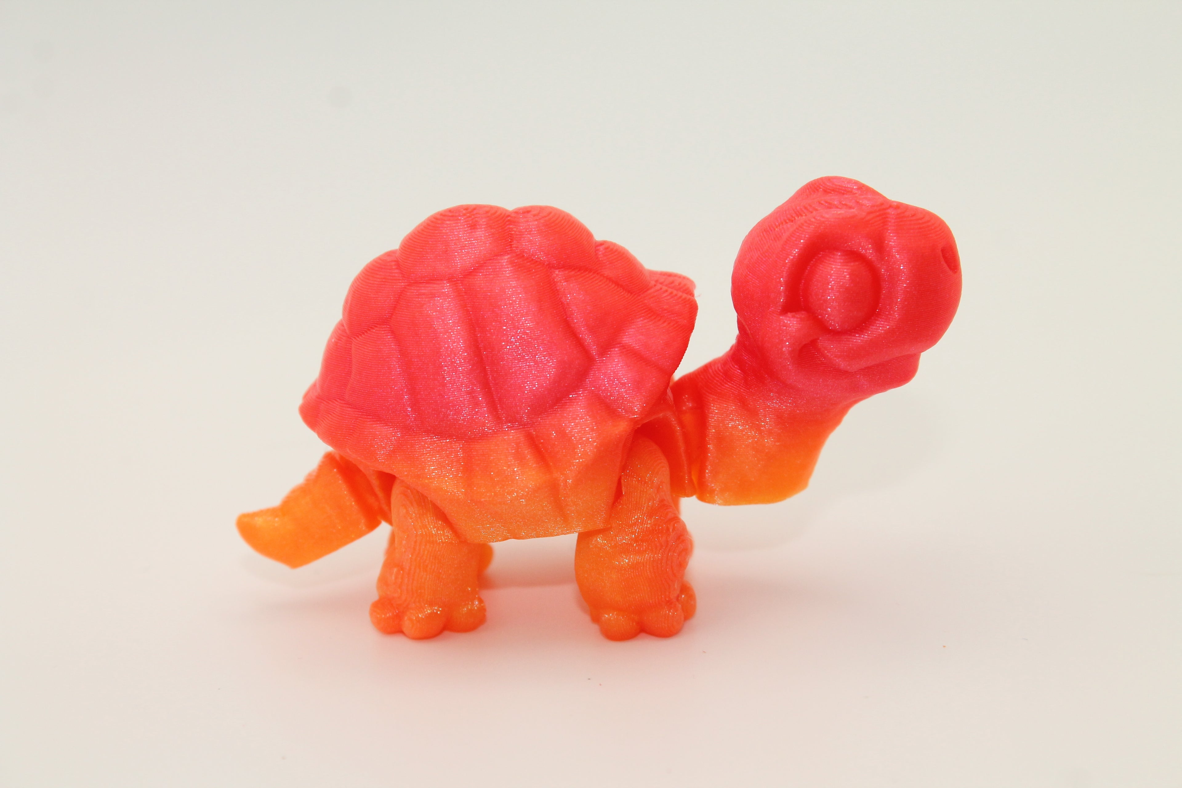 Flexi Tortoise