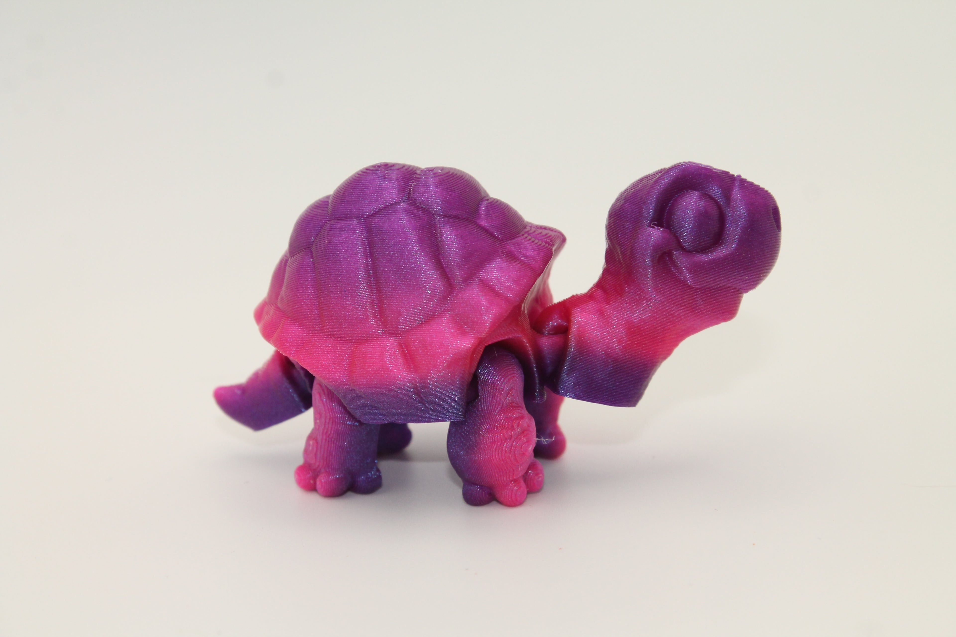 Flexi Tortoise