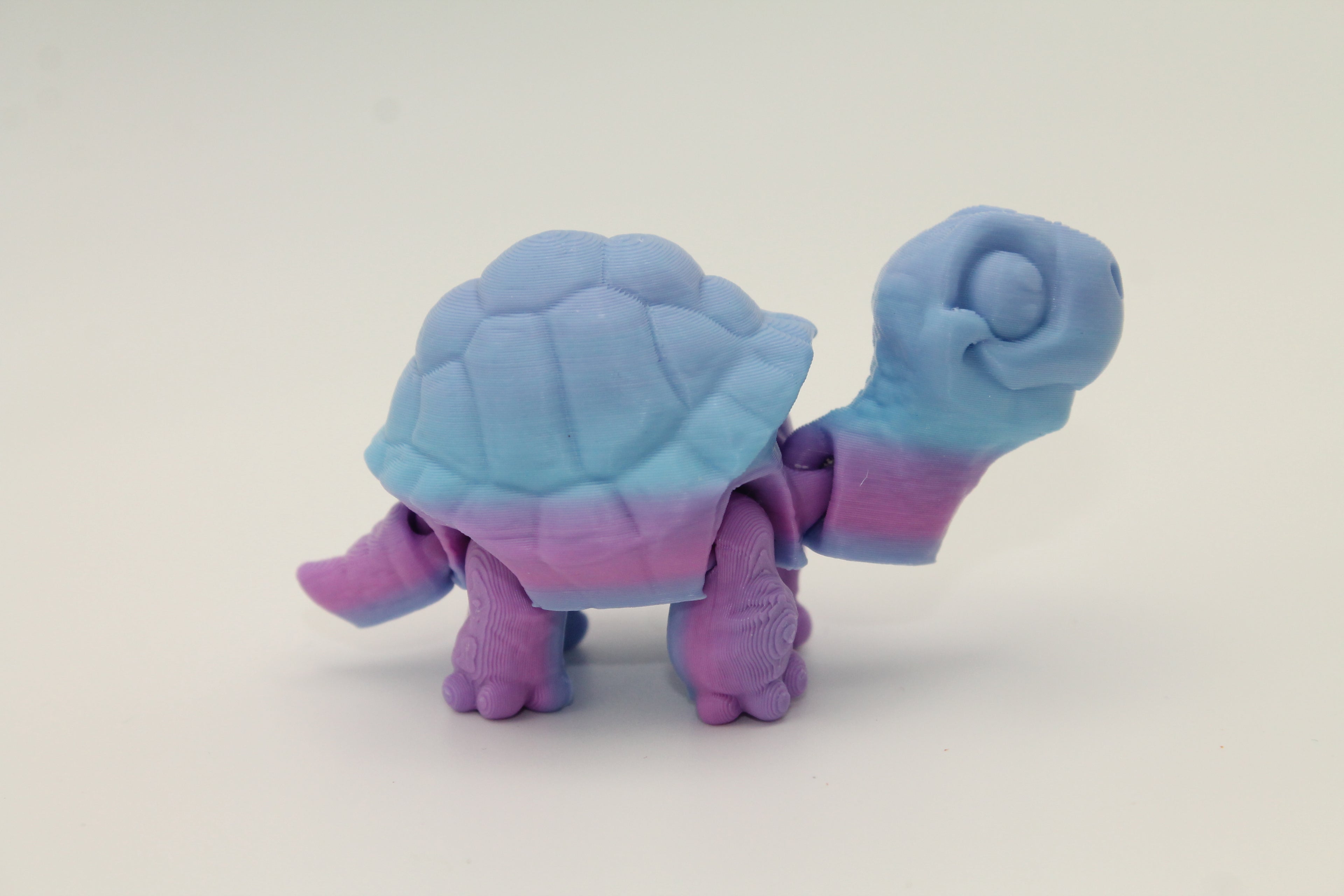Flexi Tortoise