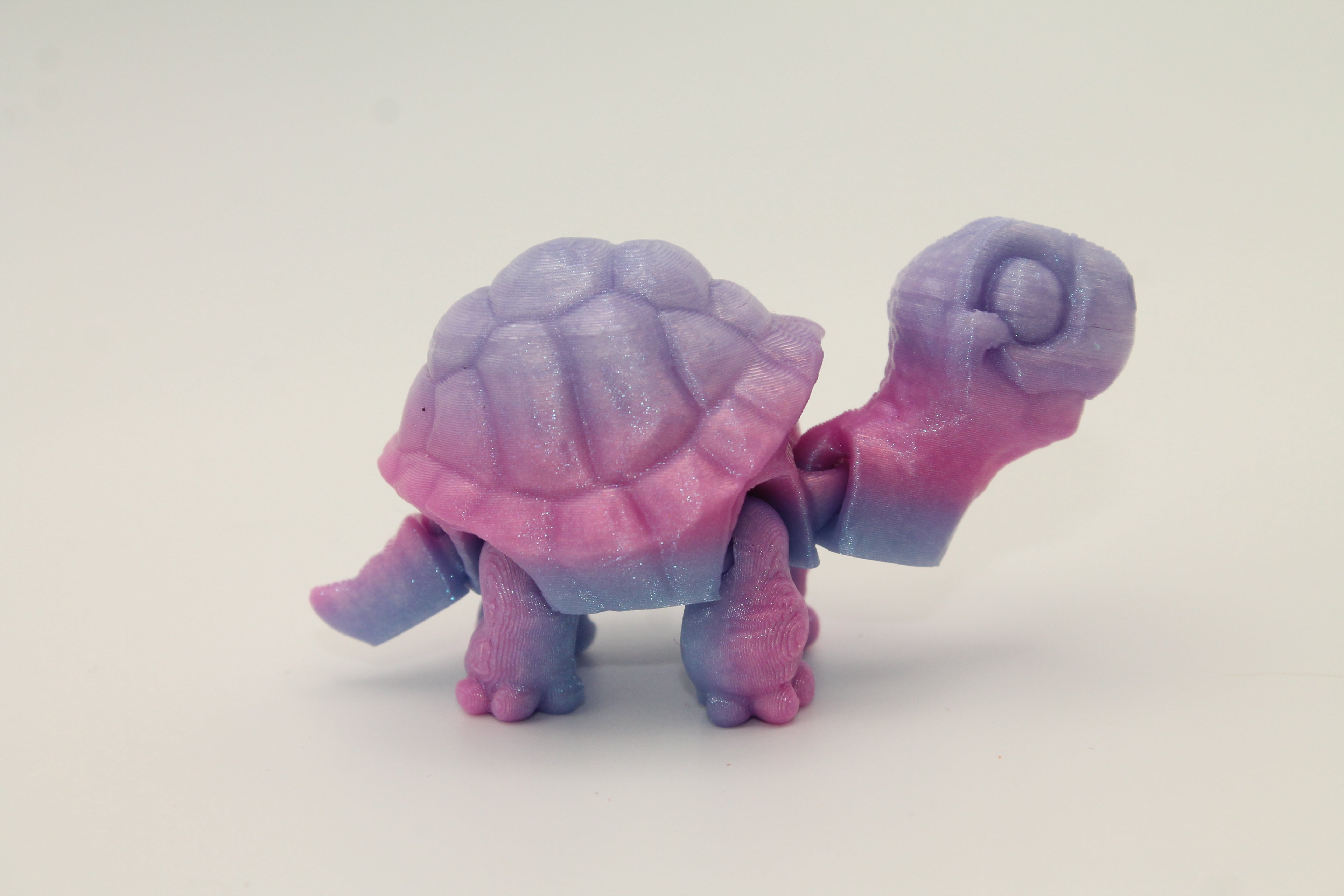Flexi Tortoise